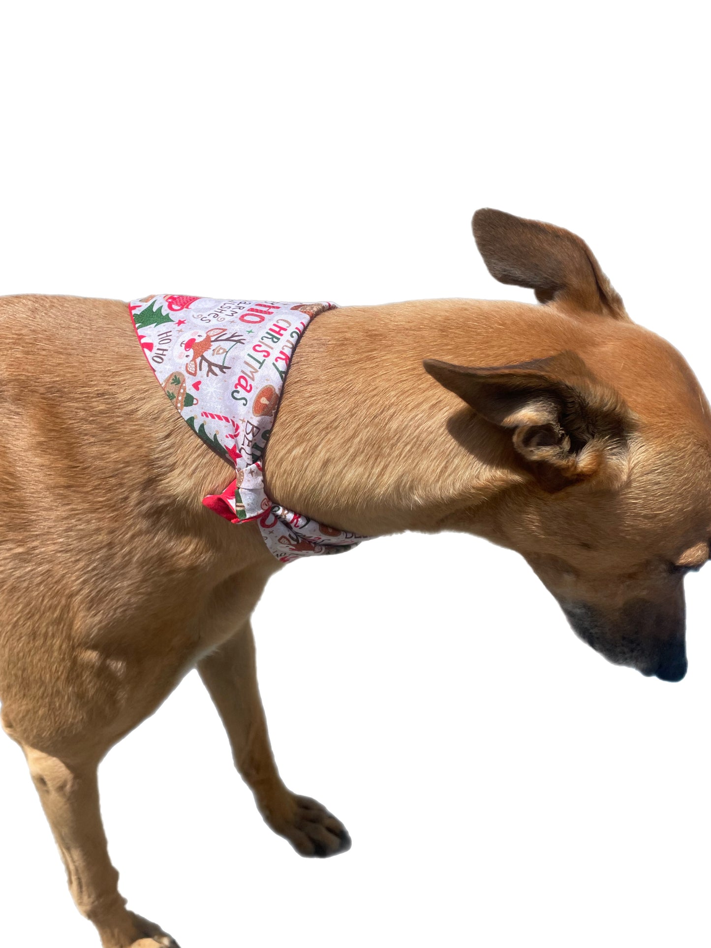 Christmas Bandana for the large dog greyhound staffy labrador double sided