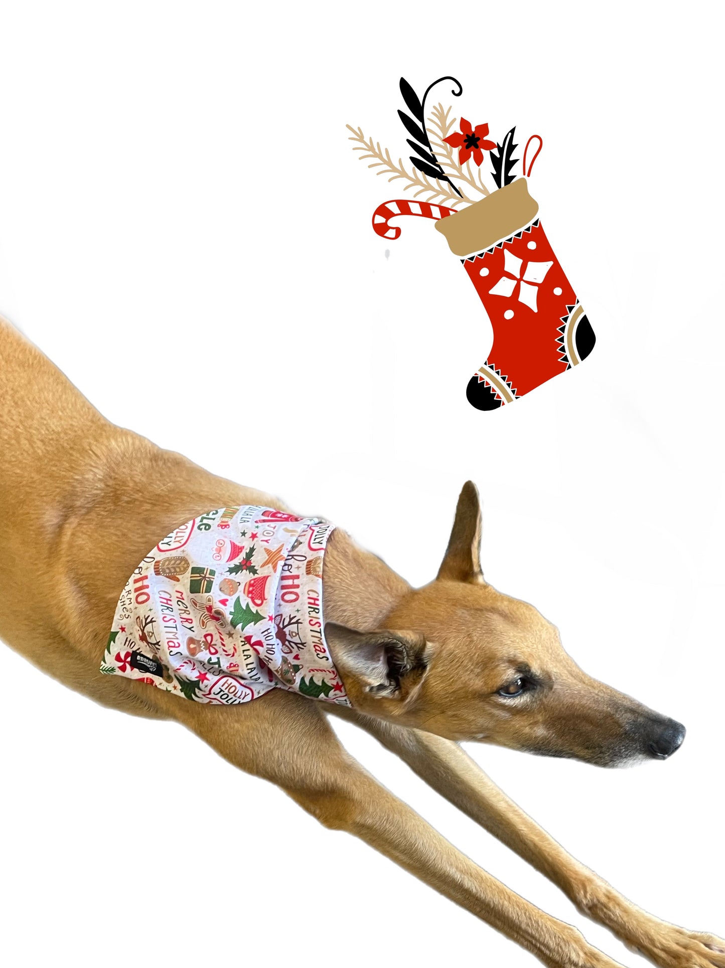 Christmas Bandana for the large dog greyhound staffy labrador double sided