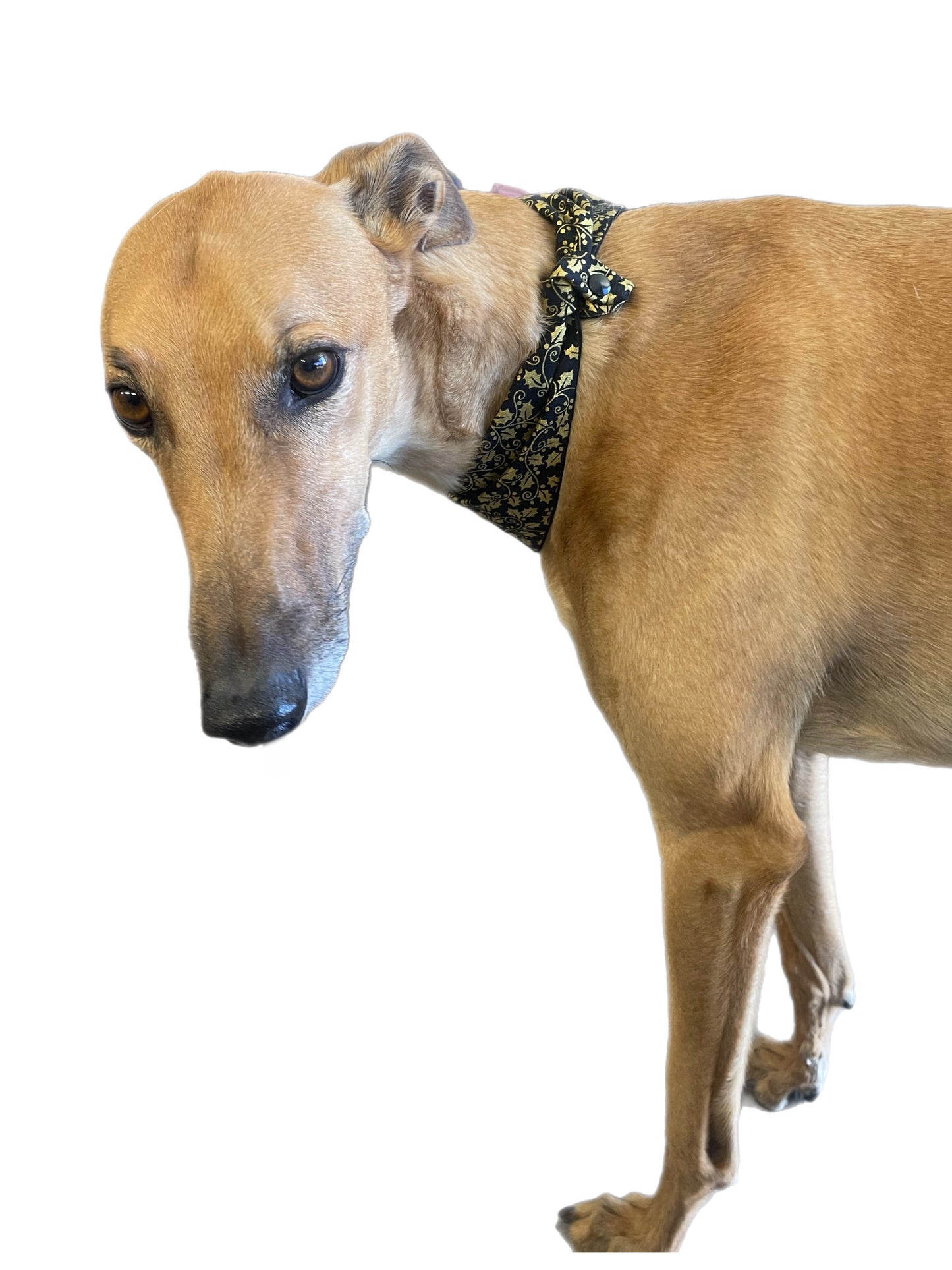 Christmas Bandana for the large dog greyhound staffy labrador double sided