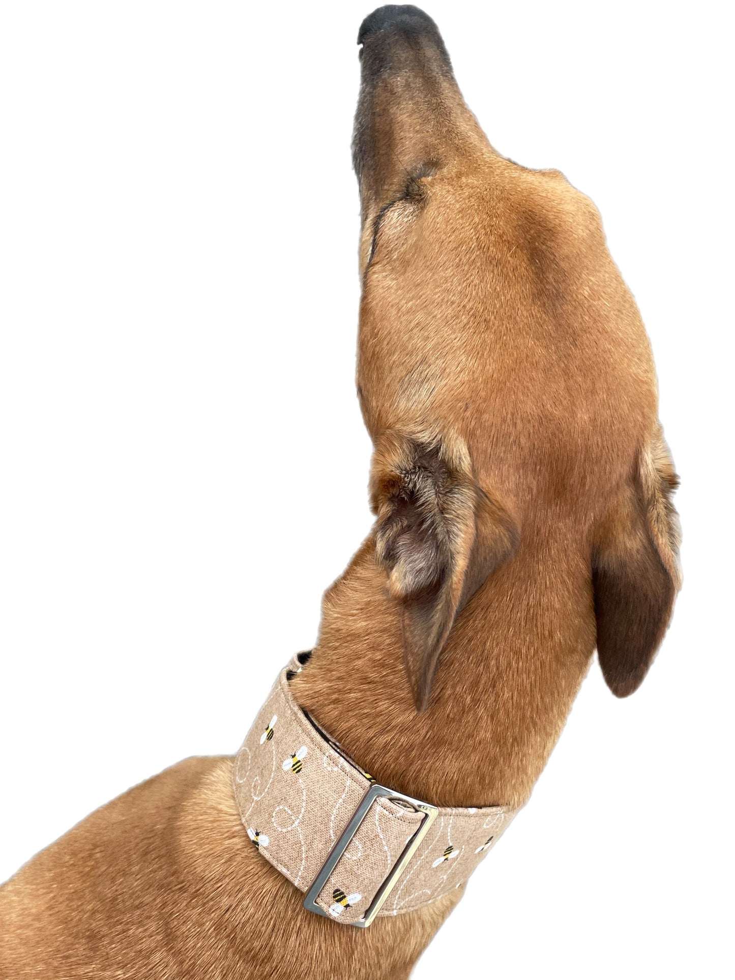 Bee happy in beige Autumn range classic style Greyhound coat in cotton & fleece washable