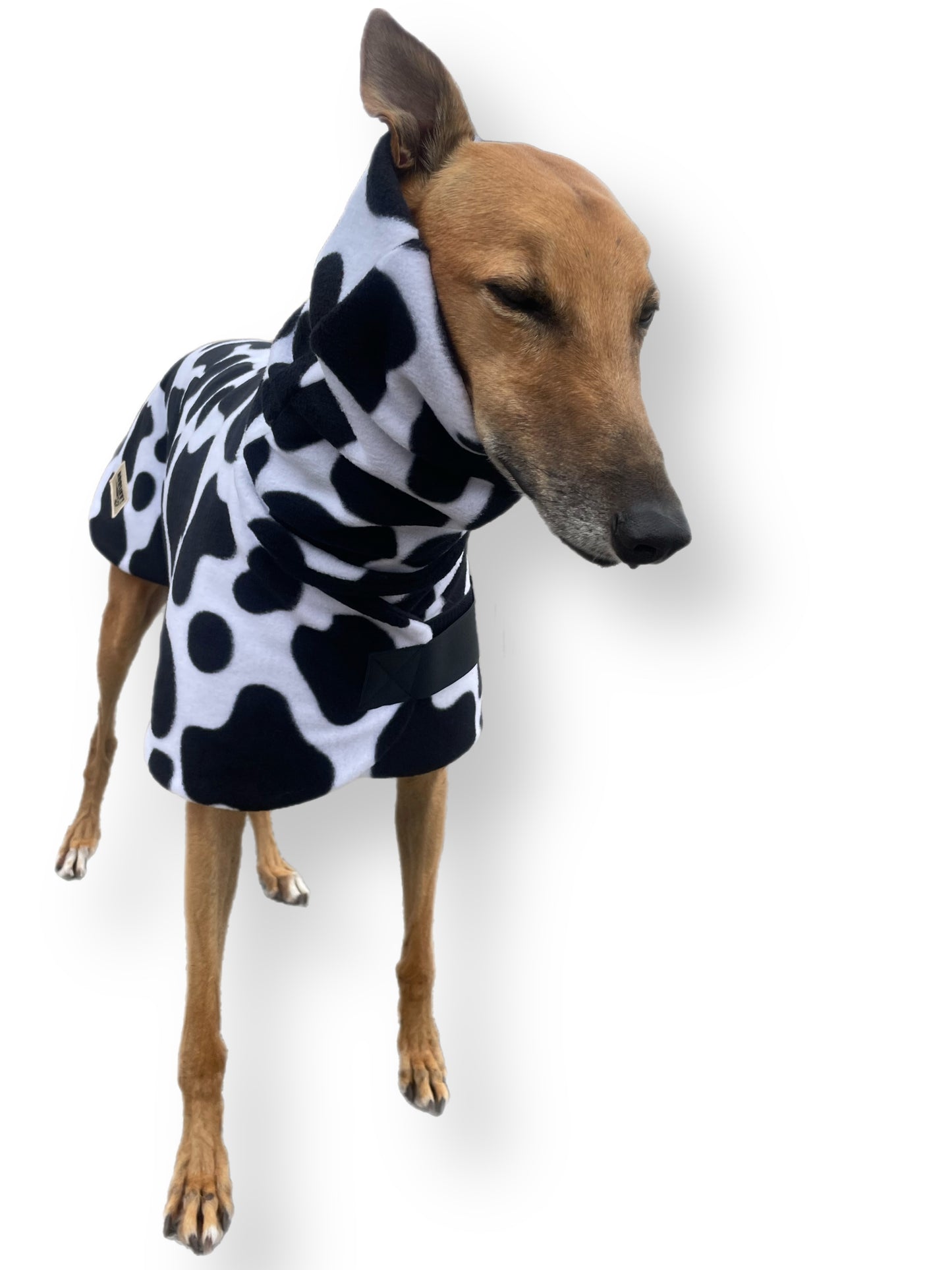 Autumn range greyhound classic style Greyhound ‘cow print’ coat double fleece washable