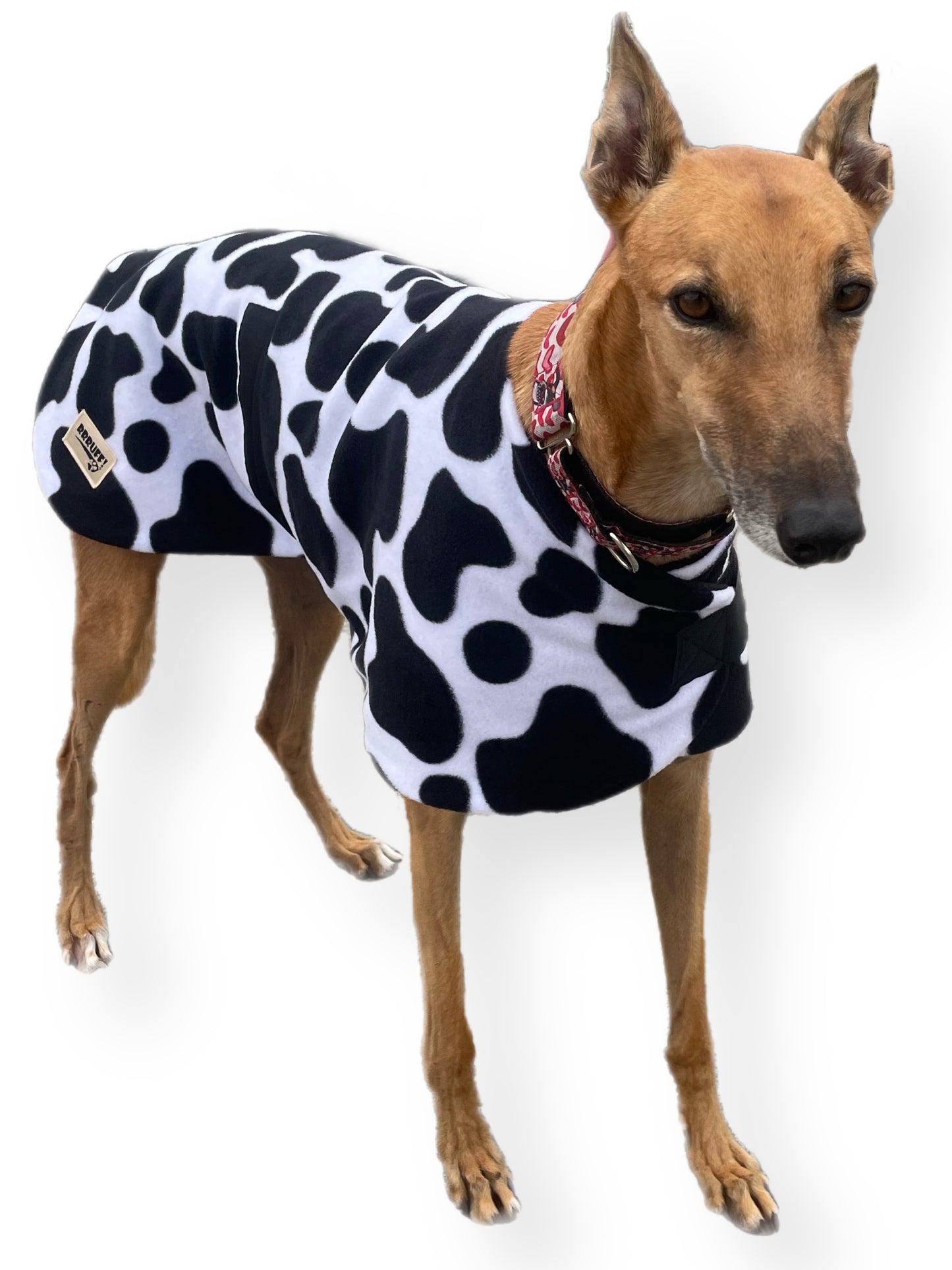 Autumn range greyhound classic style Greyhound ‘cow print’ coat double fleece washable