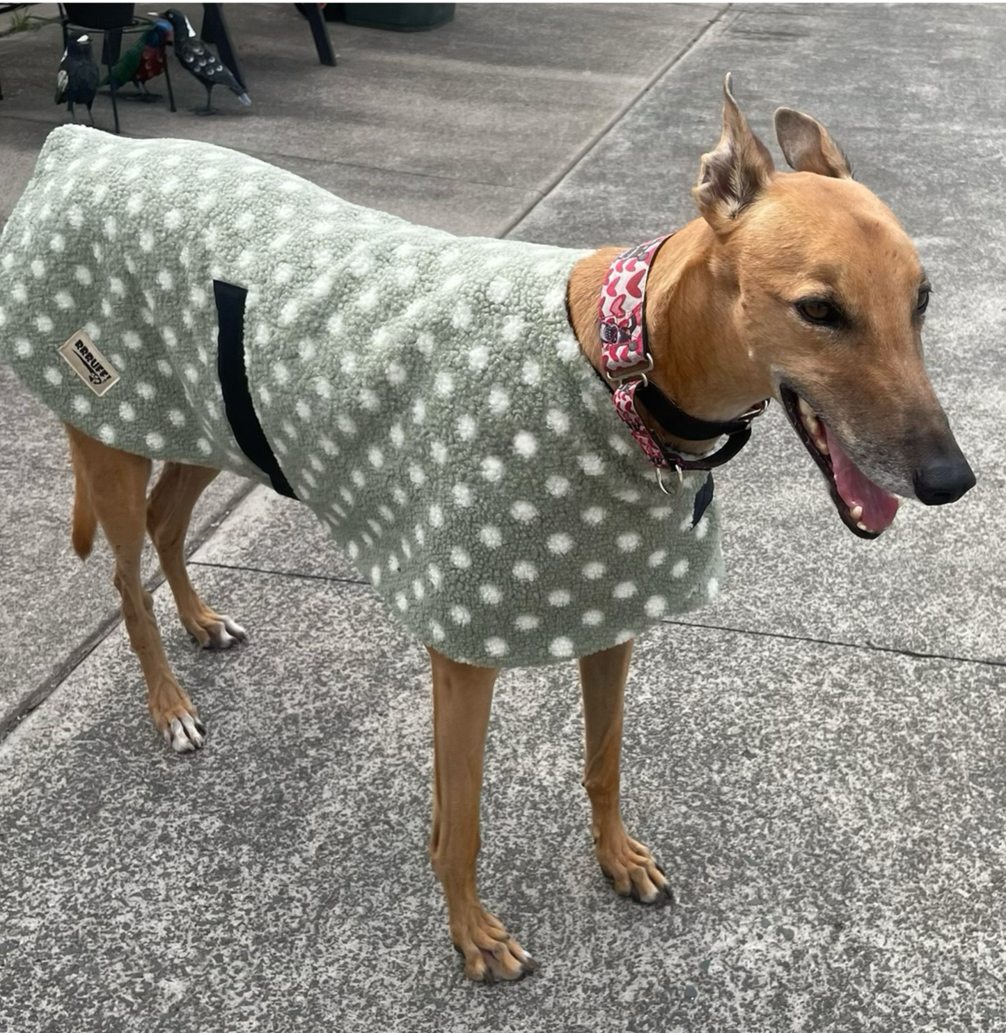 Snuggly autumn classic style Greyhound mid weight teddy fleece coat lined with fleece washable