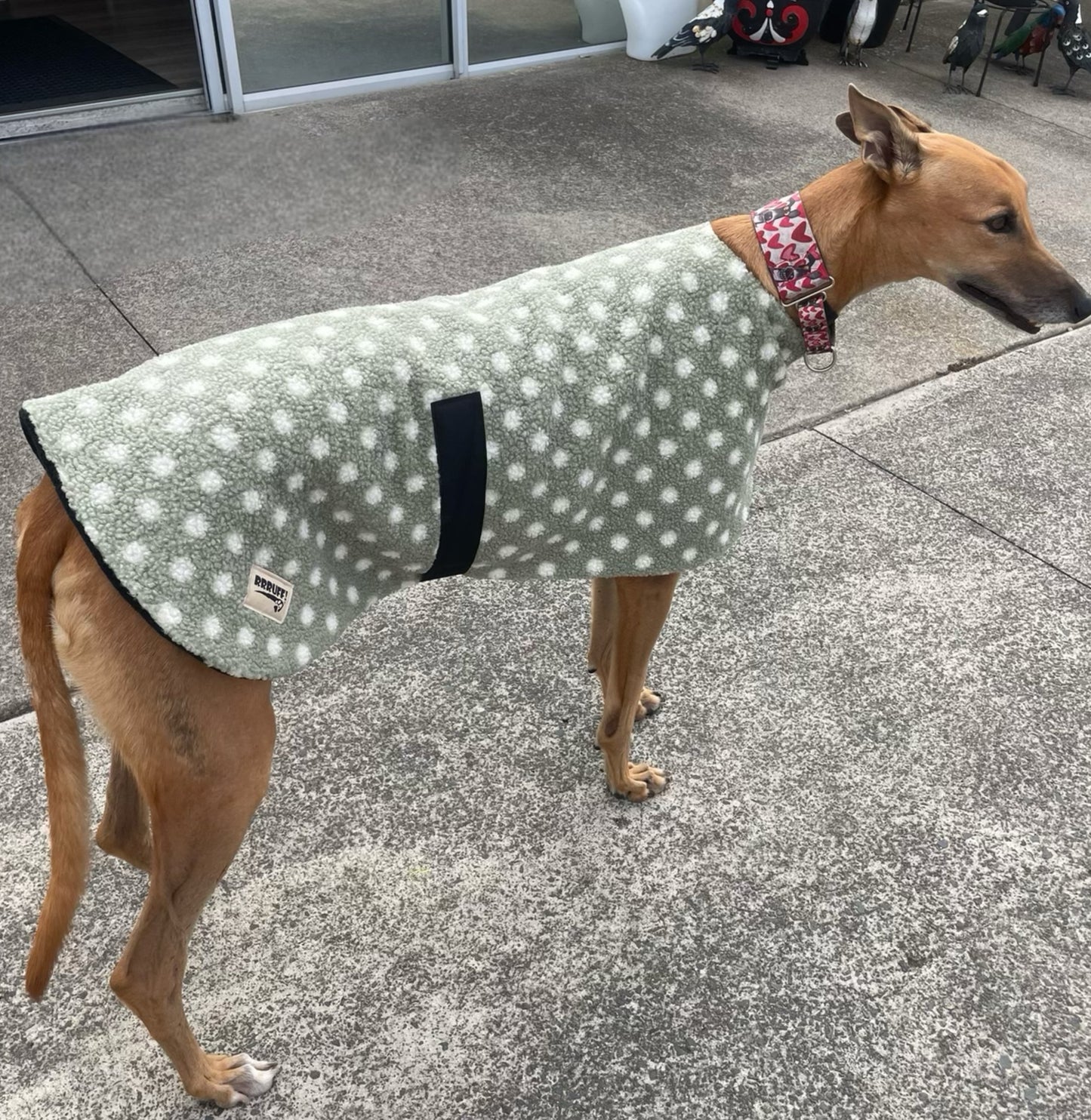 Snuggly autumn classic style Greyhound mid weight teddy fleece coat lined with fleece washable