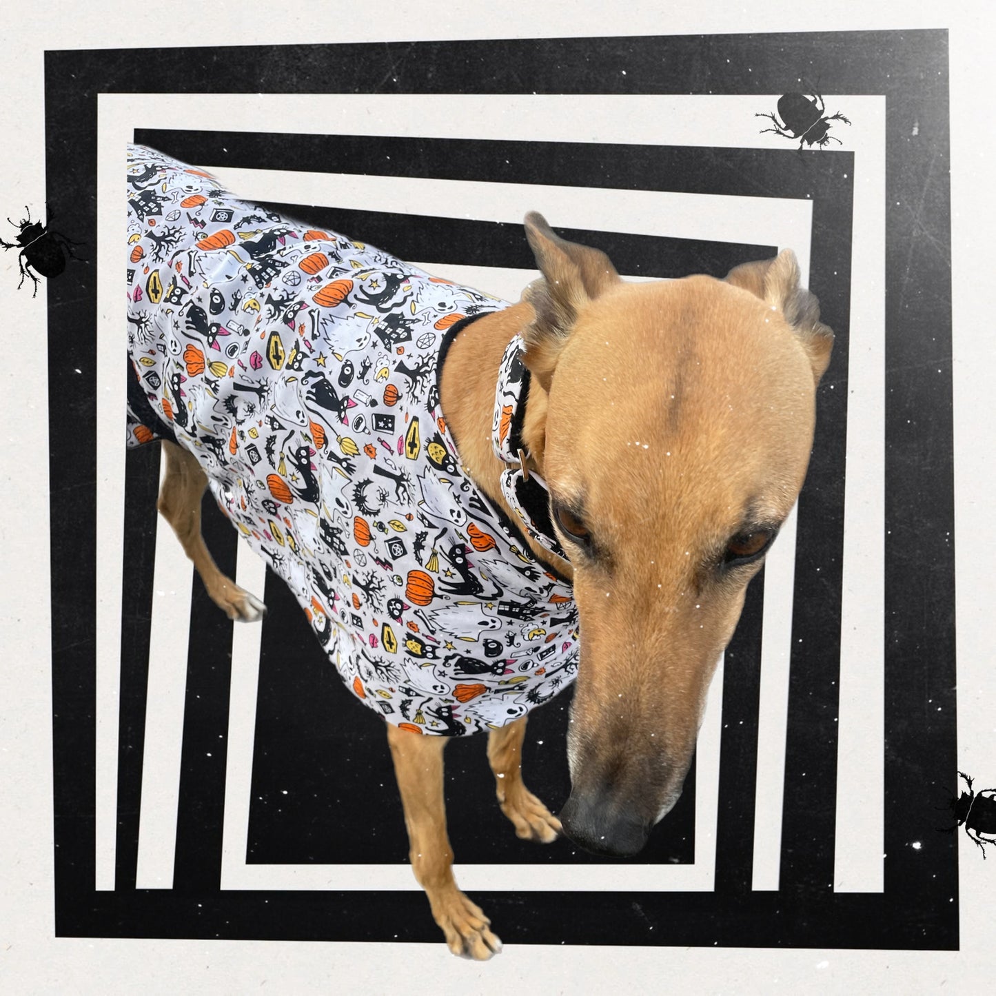 Spooky Halloween fun Greyhound coat design in lightweight cotton and fleece washable