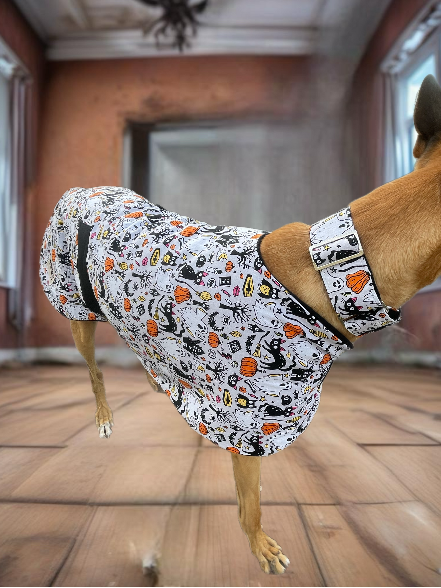 Spooky Halloween fun Greyhound coat design in lightweight cotton and fleece washable