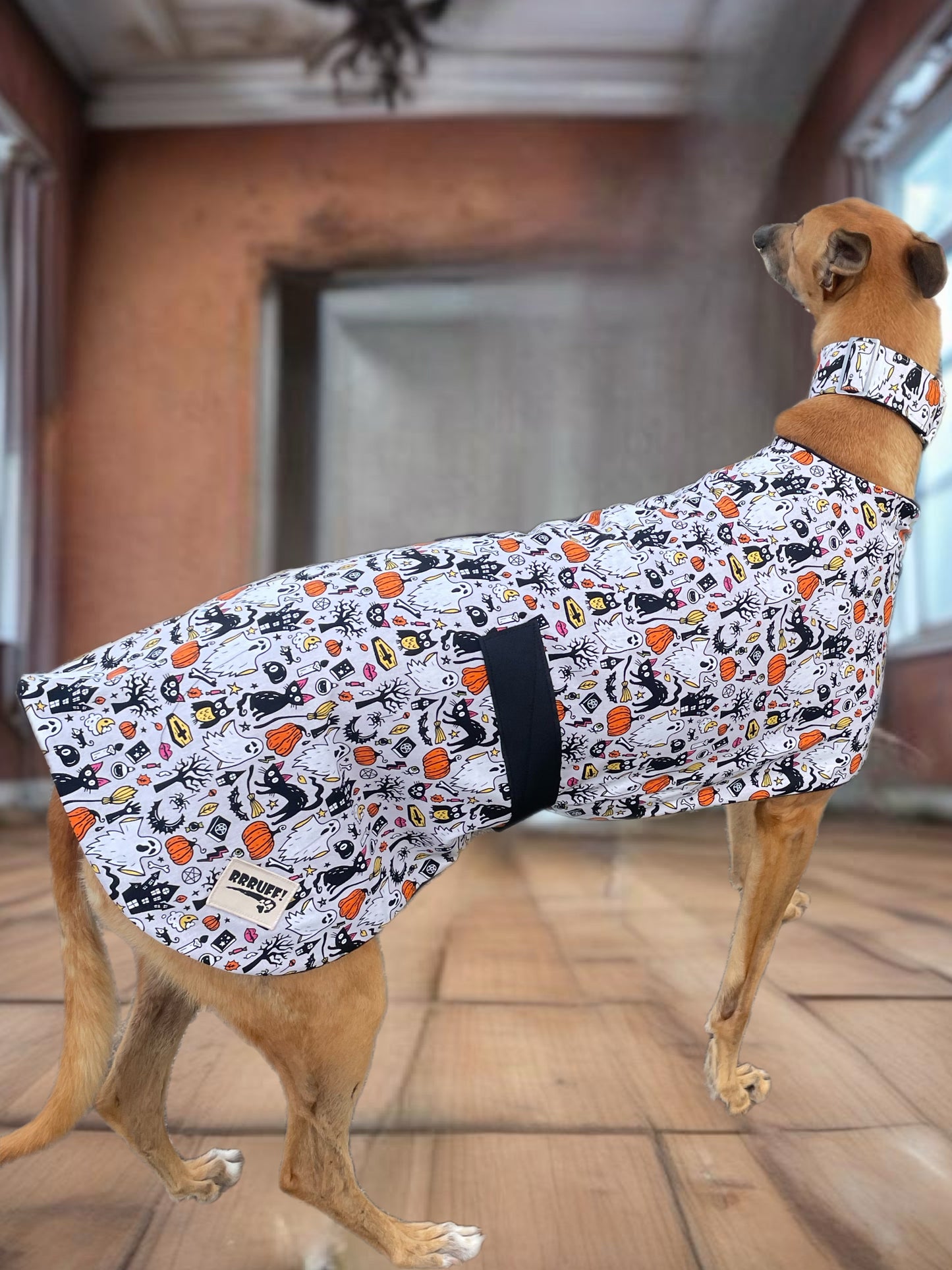 Spooky Halloween fun Greyhound coat design in lightweight cotton and fleece washable