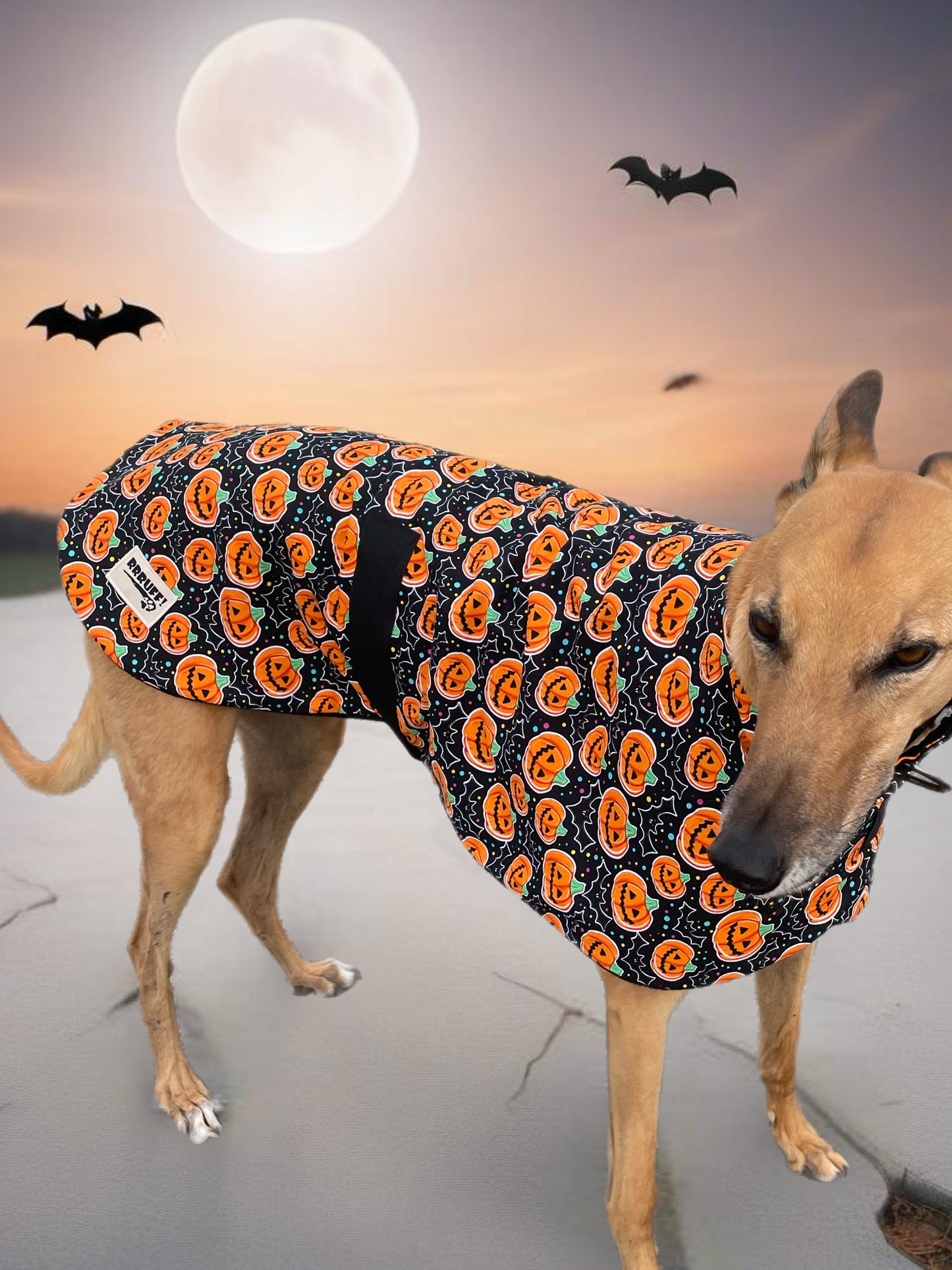 Spooky Halloween fun Greyhound coat design in lightweight cotton and fleece washable