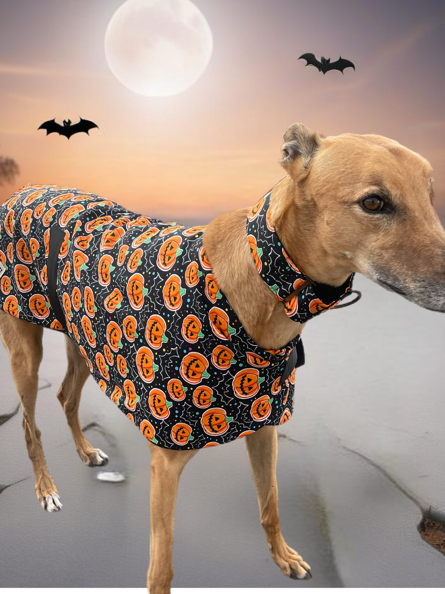 Spooky Halloween fun Greyhound coat design in lightweight cotton and fleece washable
