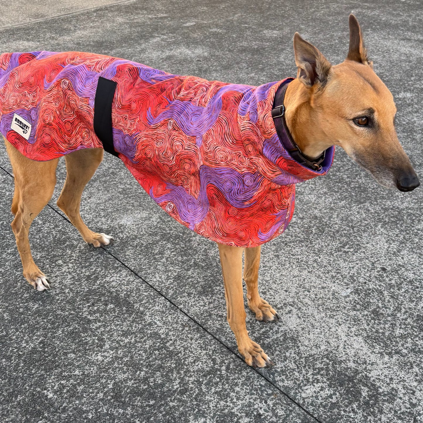 Beautiful indigenous design cotton & fleece sports