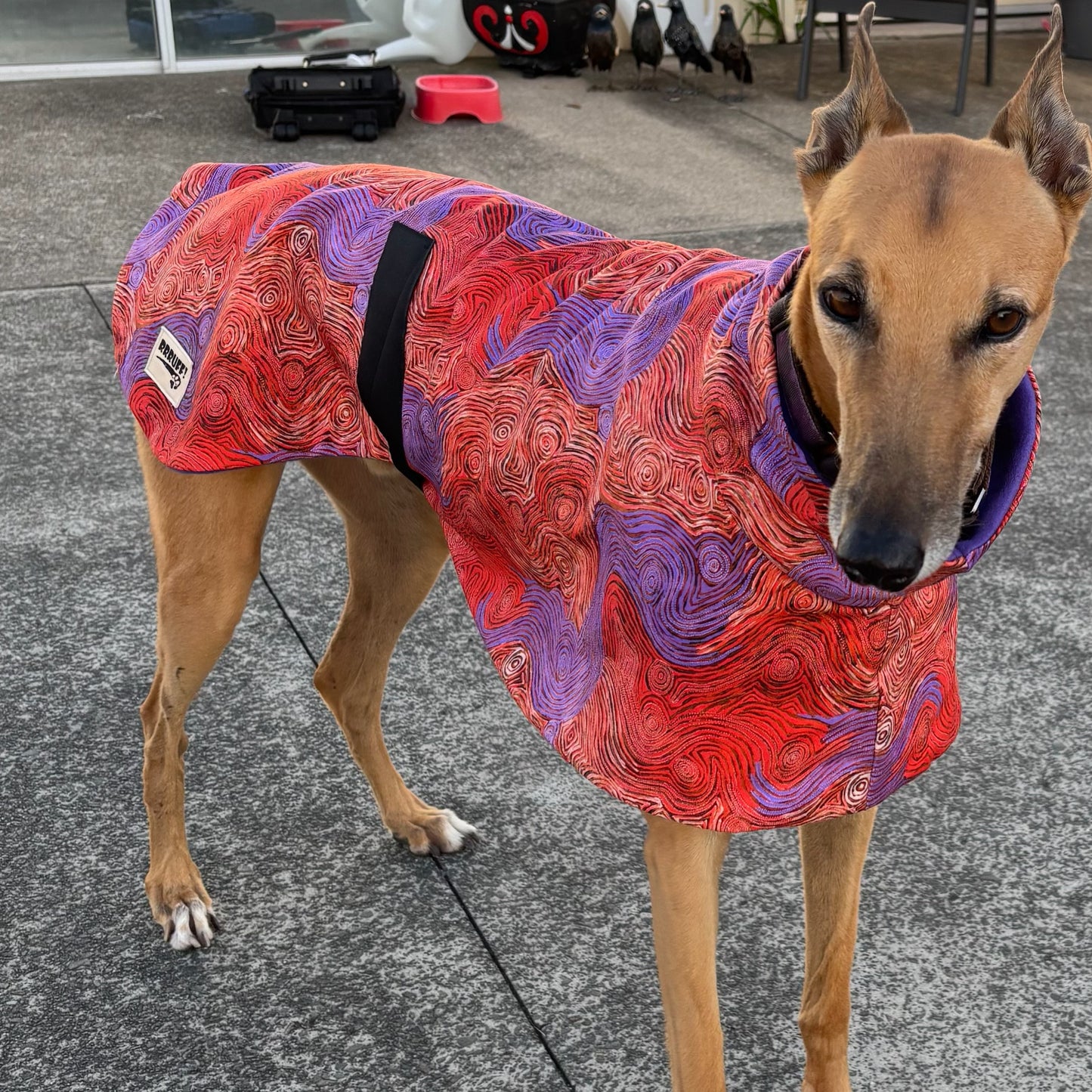 Beautiful indigenous design cotton & fleece sports