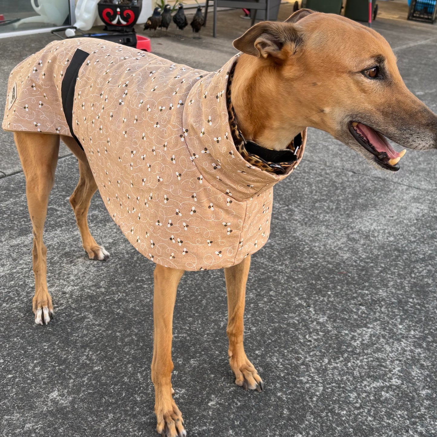 Bee happy in beige cotton sports. On sale