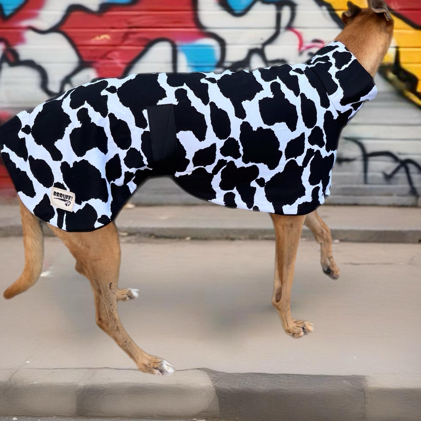 Moo cow print cotton & fleece greyhound sports
