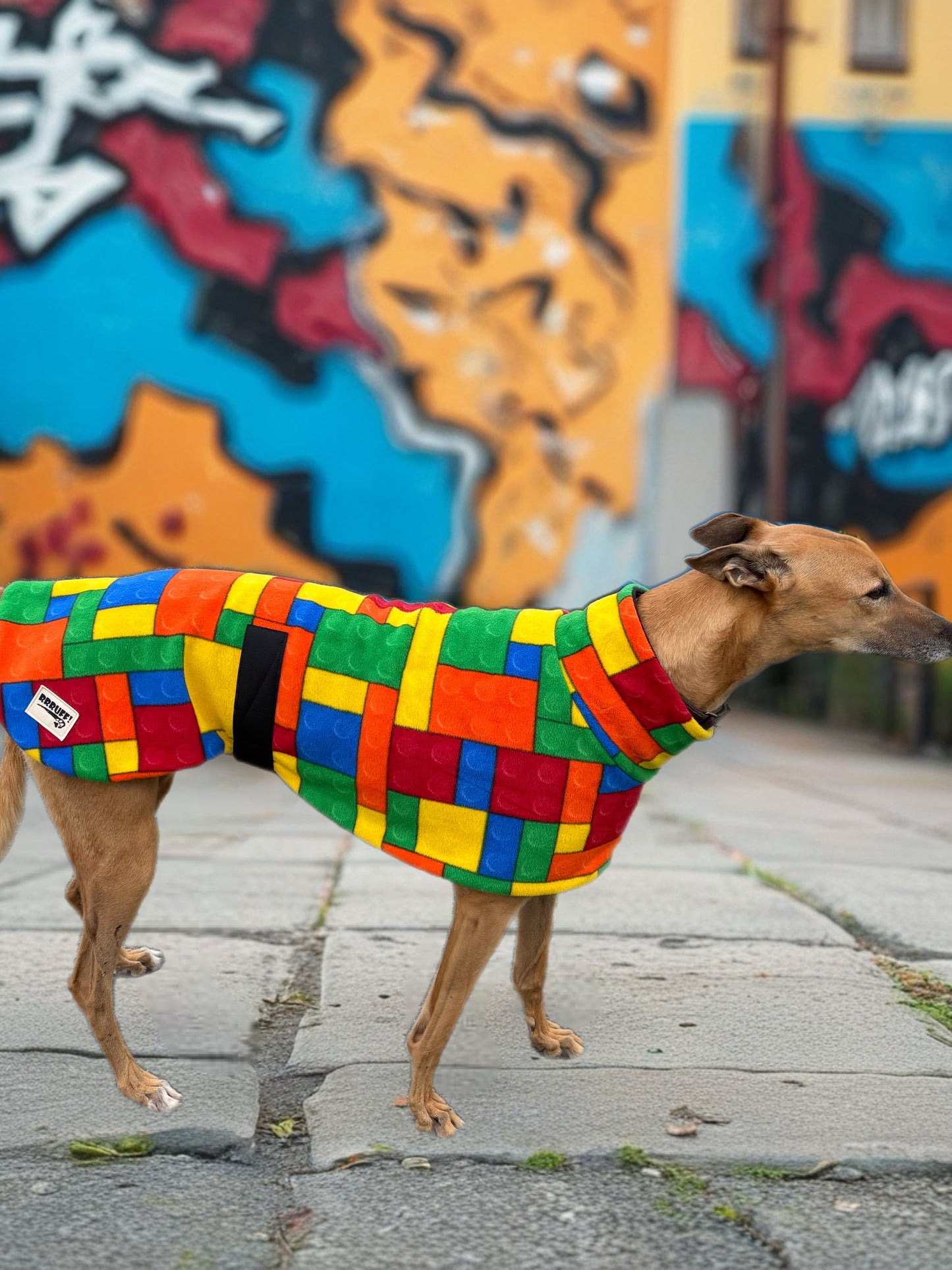 Lego midweight multicoloured fleece sports