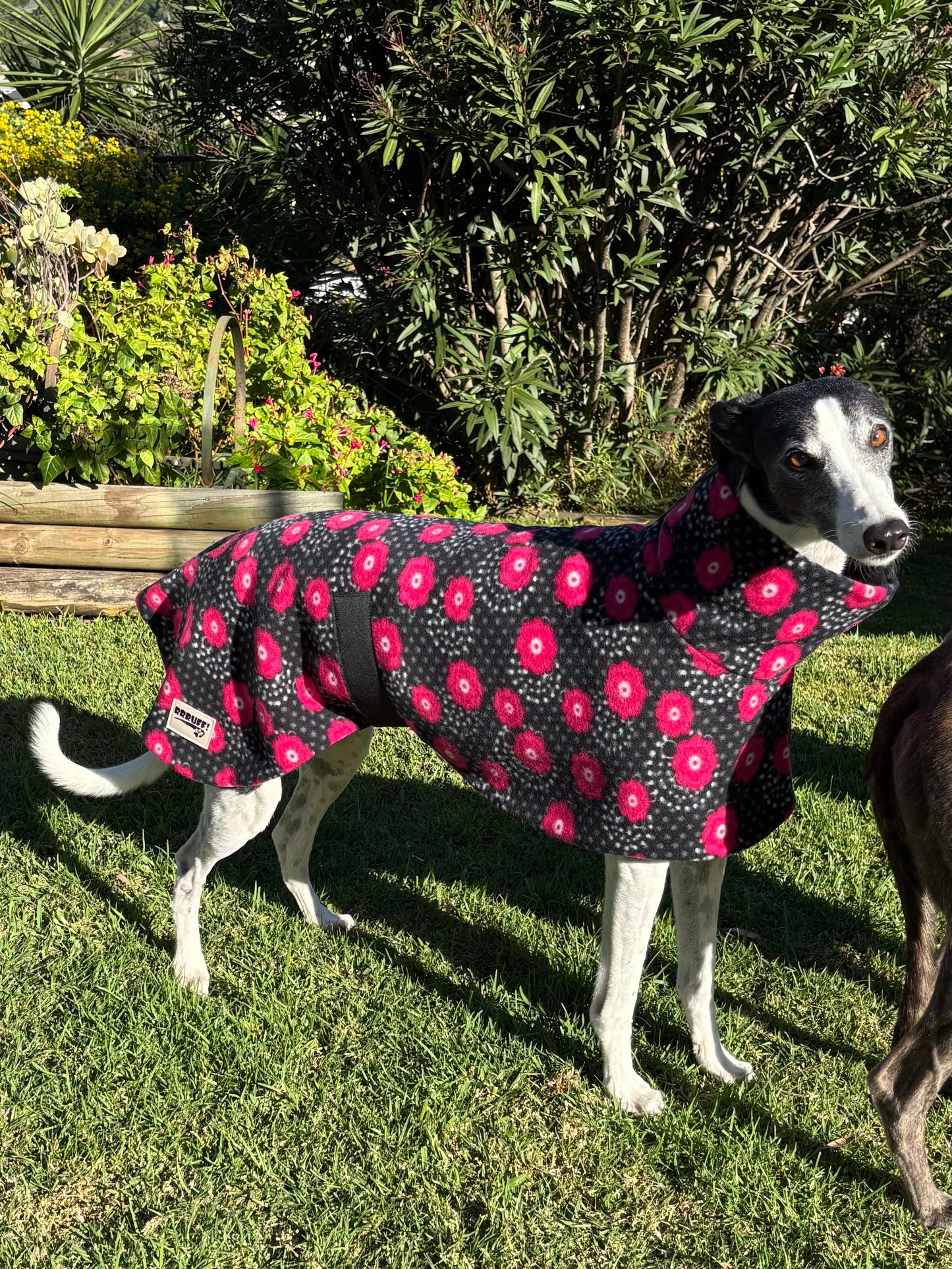 Pretty poppies lightweight fleece sports