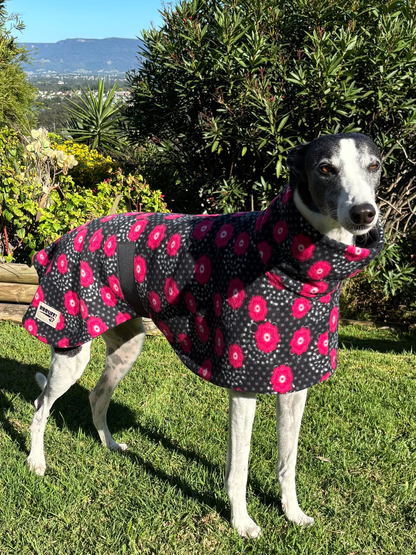 Pretty poppies lightweight fleece sports