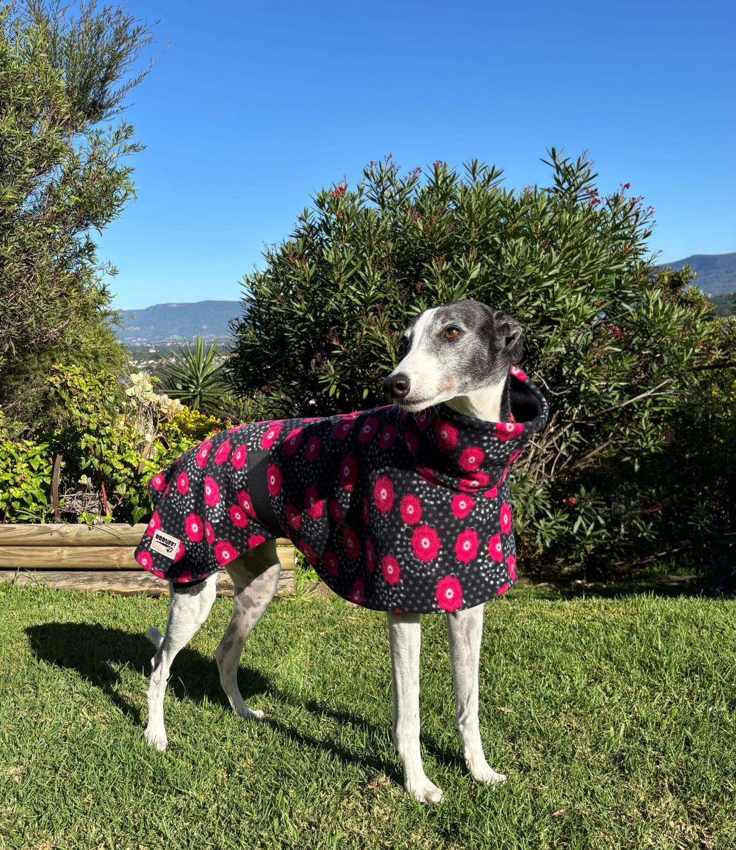 Pretty poppies lightweight fleece sports