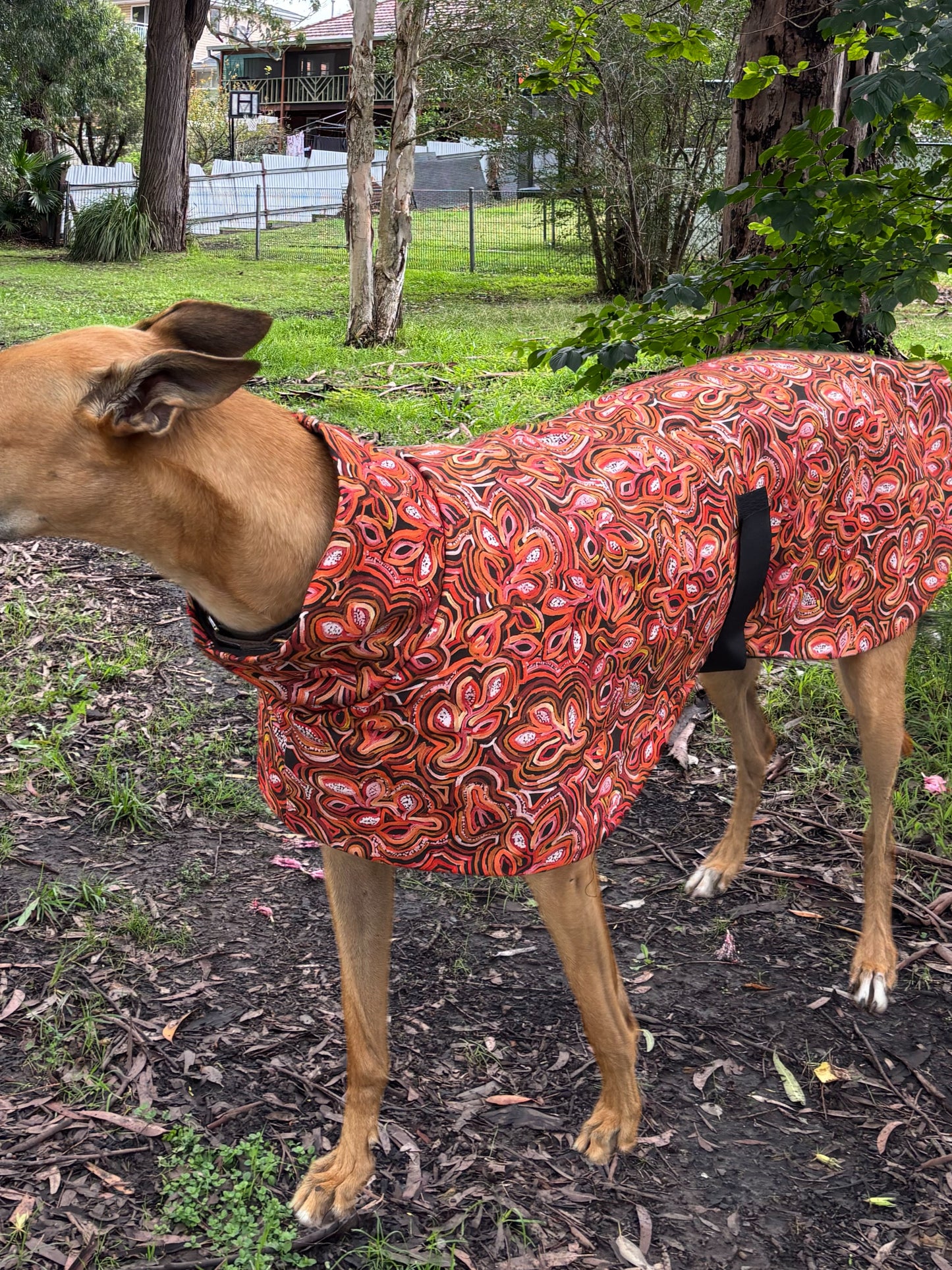Beautiful indigenous design cotton & fleece sports
