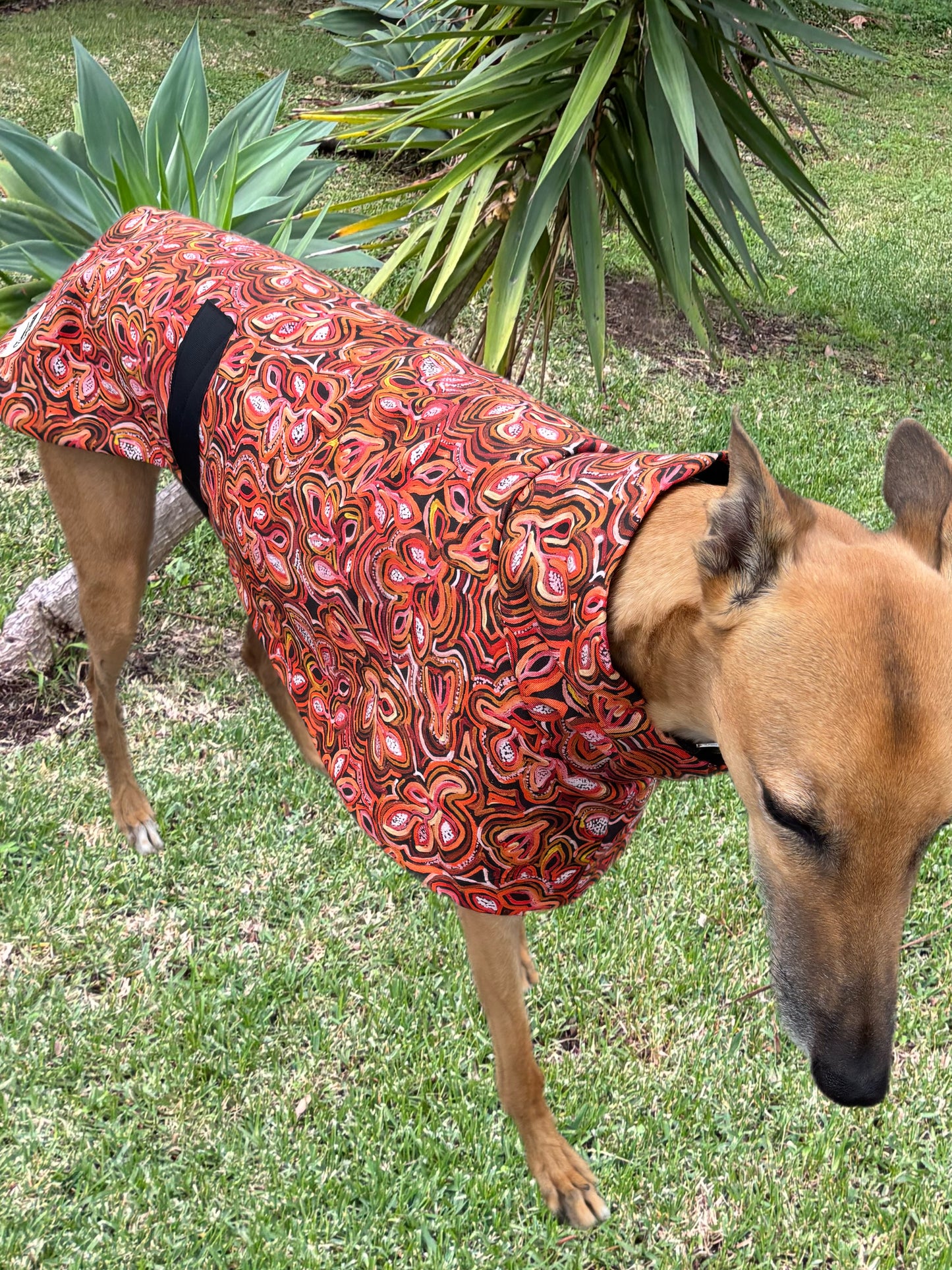 Beautiful indigenous design cotton & fleece sports