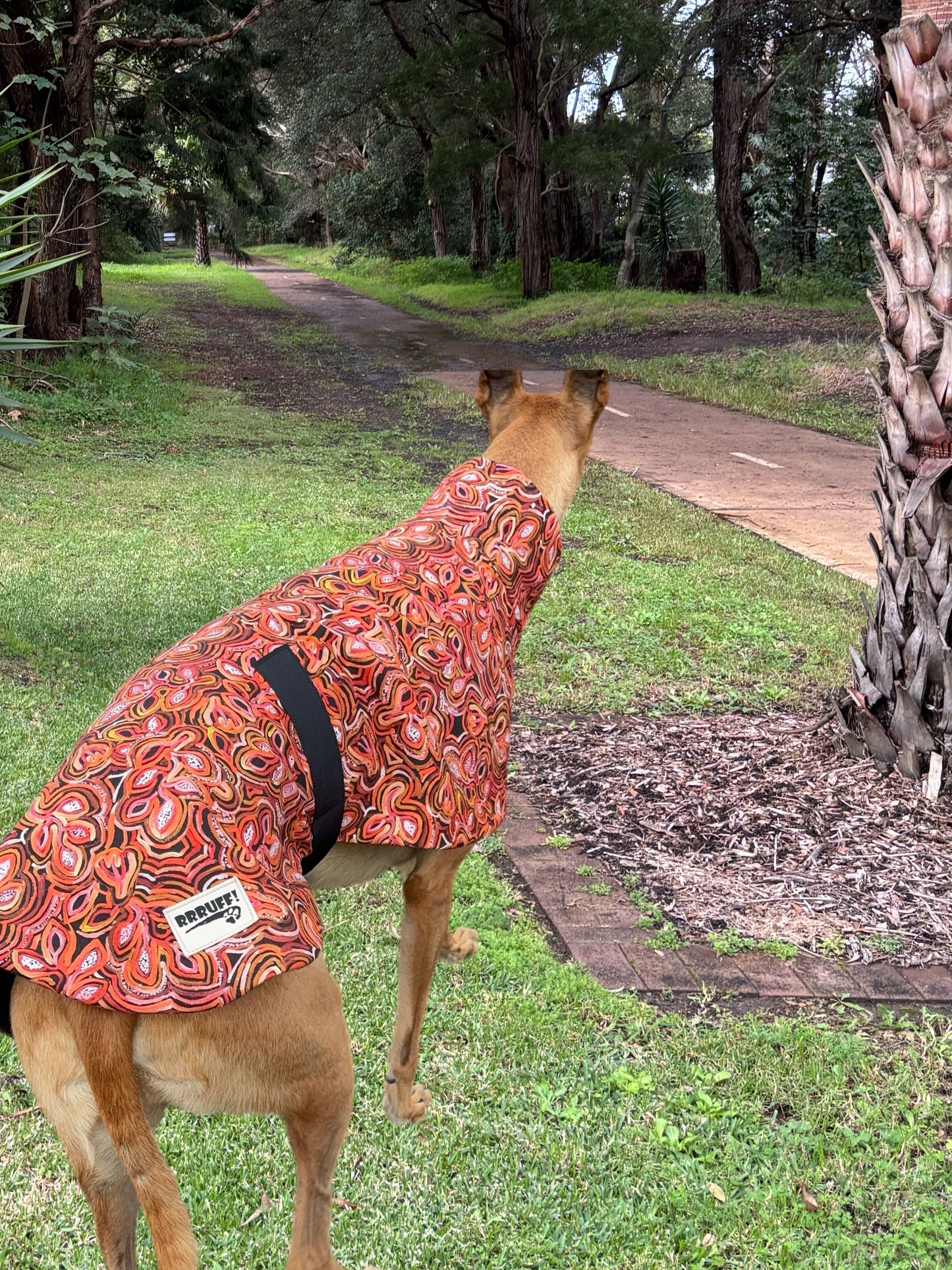 Beautiful indigenous design cotton & fleece sports