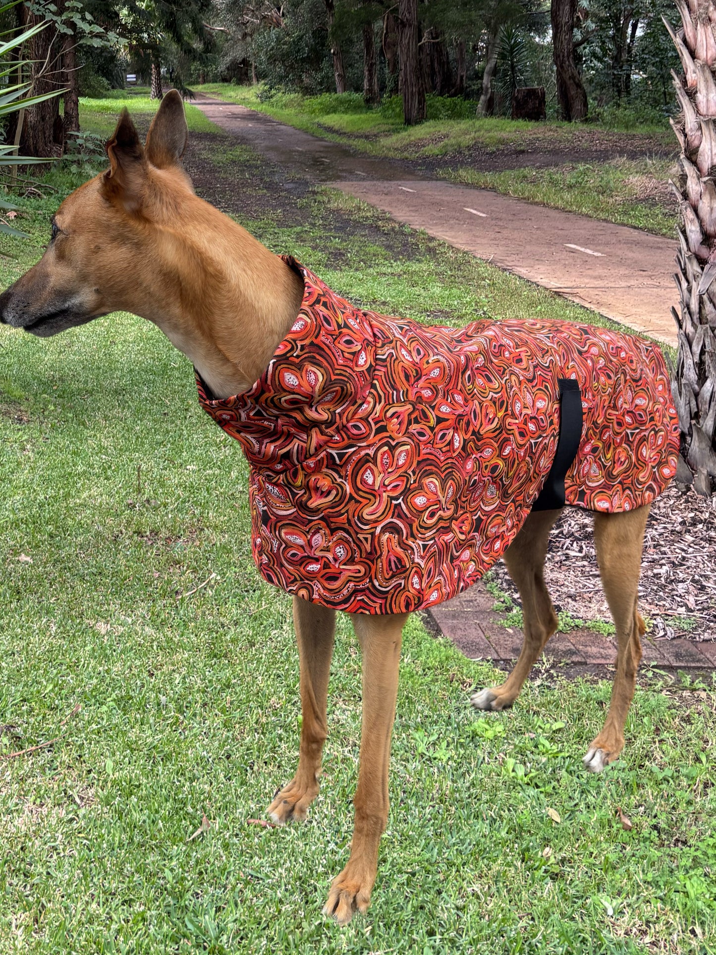 Beautiful indigenous design cotton & fleece sports