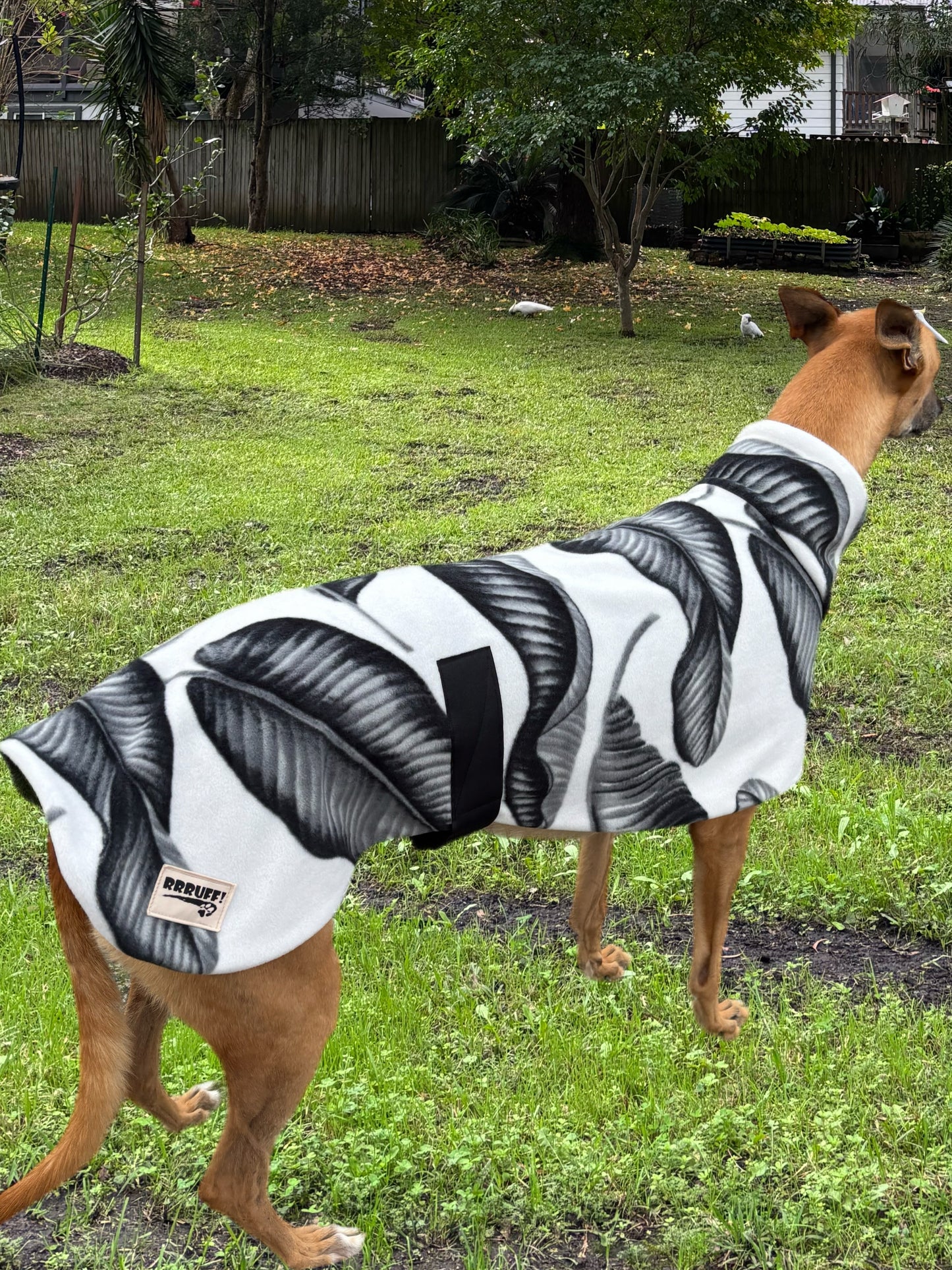 Black and white snuggly fleece sports.