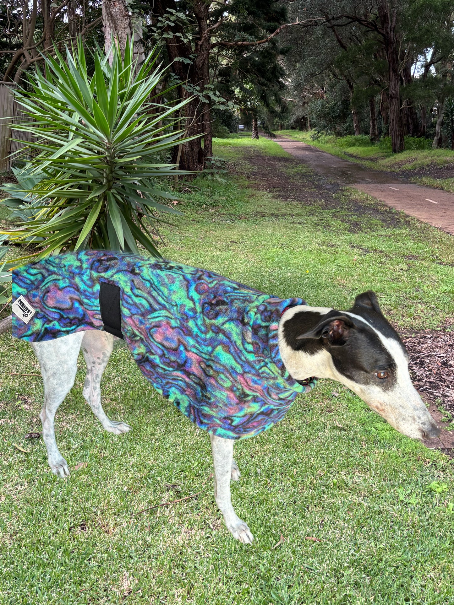 Abalone Paua shell snuggly green & purple tones fleece sports