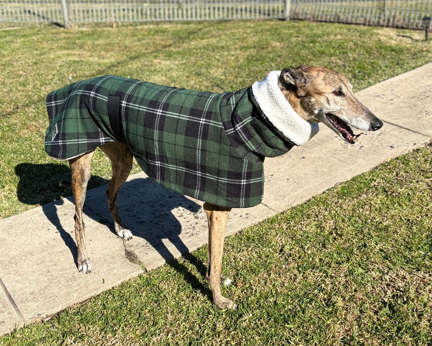 Green Lumberjack Greyhound coat in deluxe style rug tartan check polar fleece washable extra wide neck