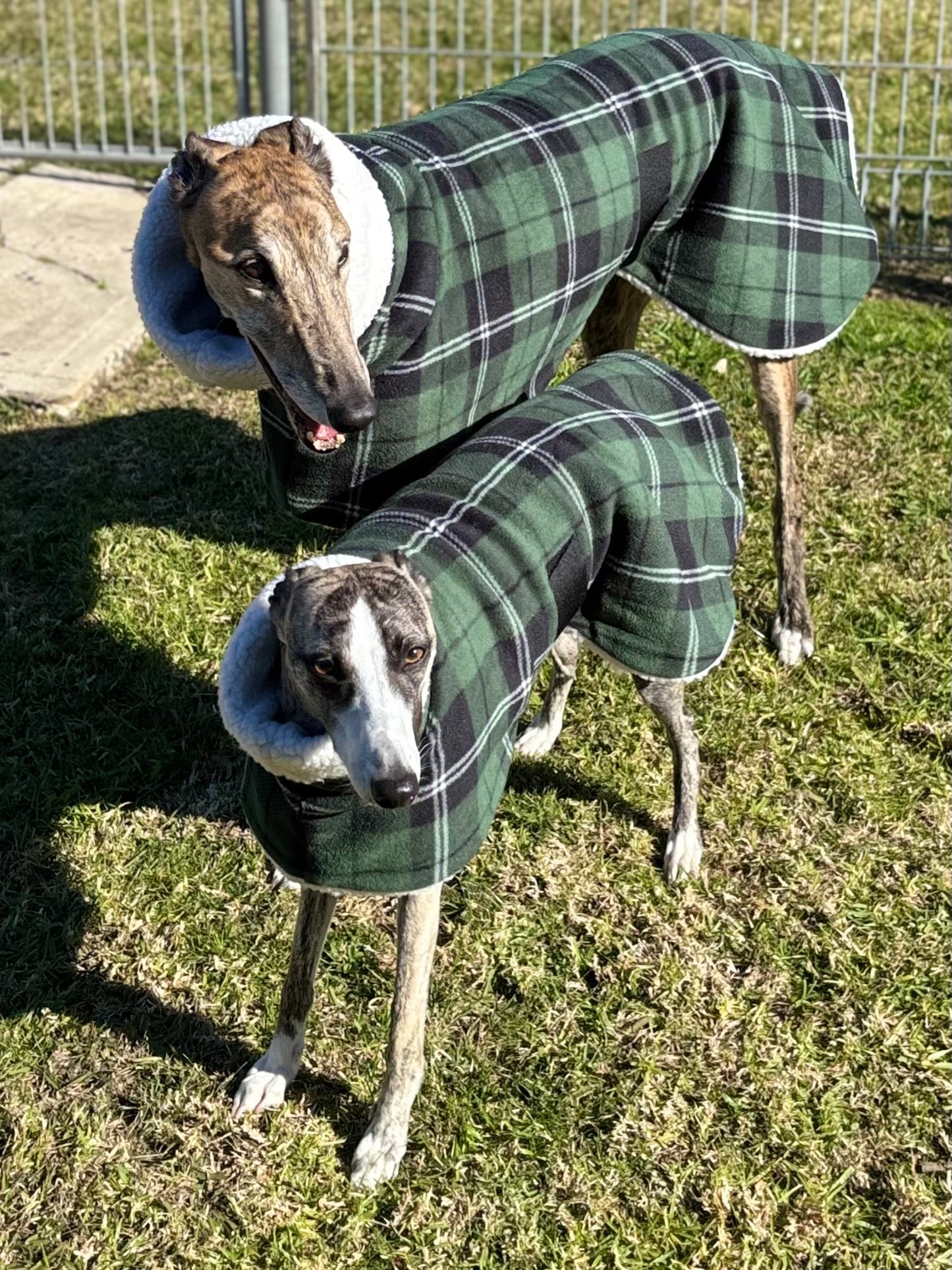 Green Lumberjack Greyhound coat in deluxe style rug tartan check polar fleece washable extra wide neck