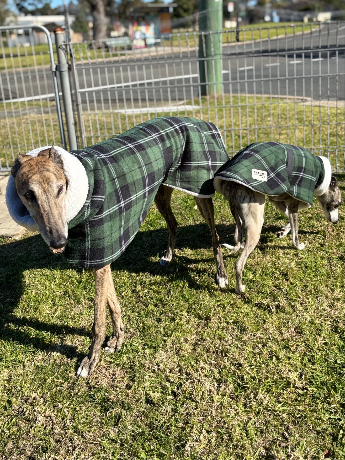 Green Lumberjack Greyhound coat in deluxe style rug tartan check polar fleece washable extra wide neck
