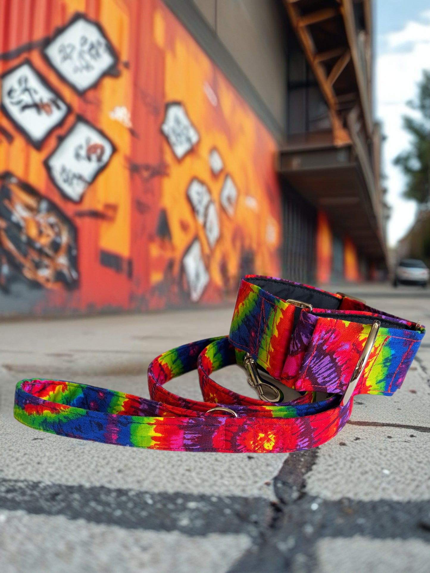 Retro vibrant Greyhound Martingale collar cotton covered 50mm width super soft