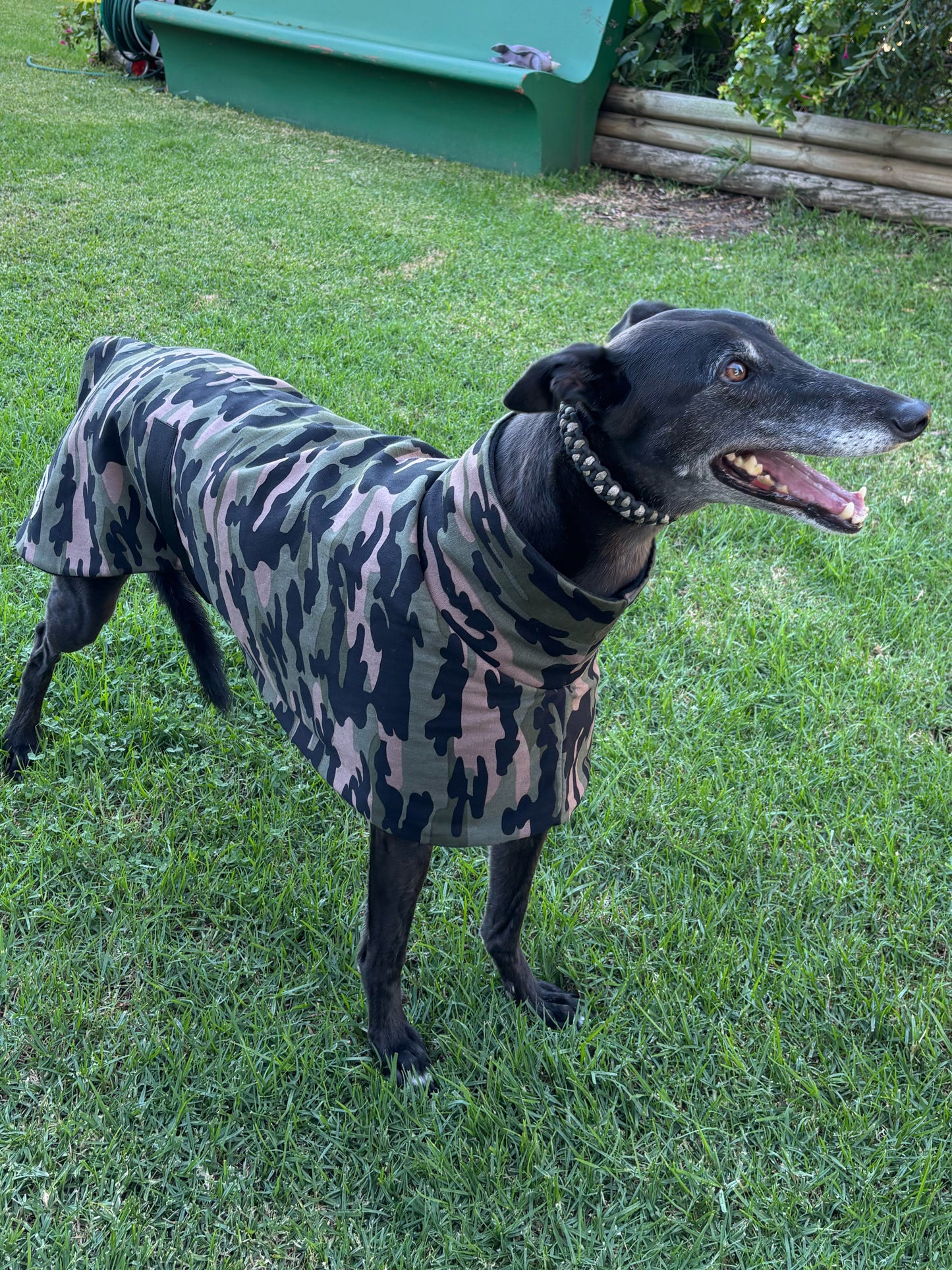 Cammo green Autumn range sports style Greyhound coat in cotton & fleece washable