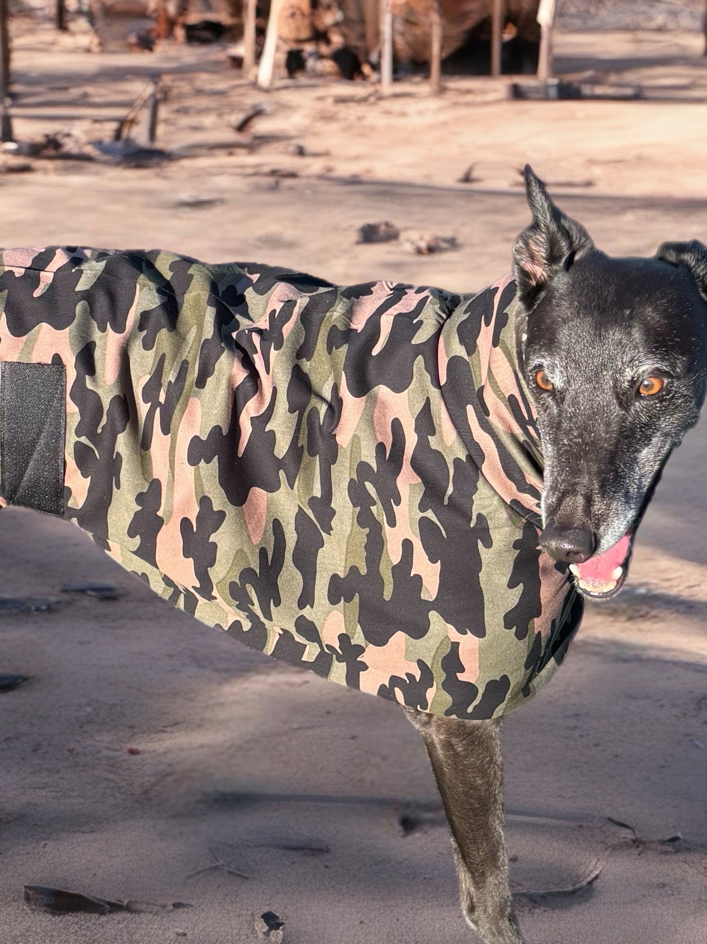 Cammo green Autumn range sports style Greyhound coat in cotton & fleece washable