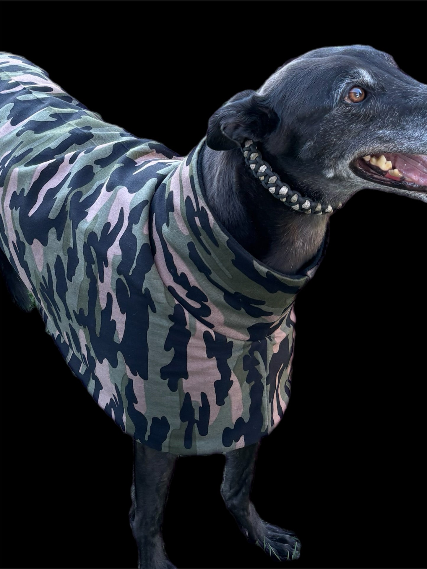Cammo green Autumn range sports style Greyhound coat in cotton & fleece washable