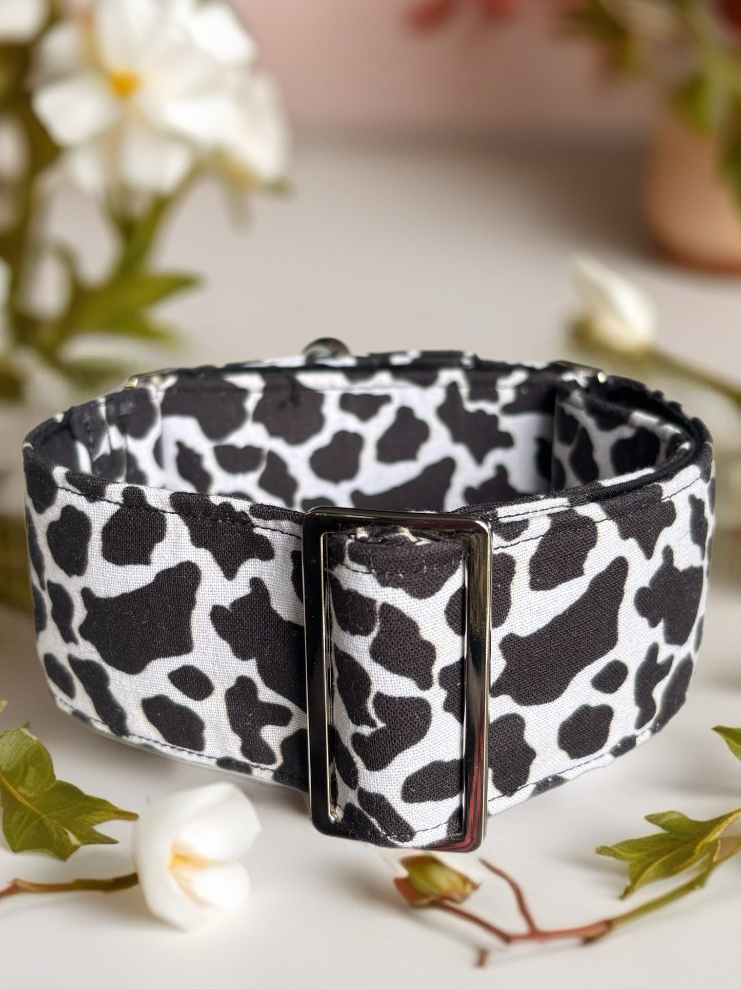 Cowprint Greyhound Martingale collar cotton covered 50mm width soft
