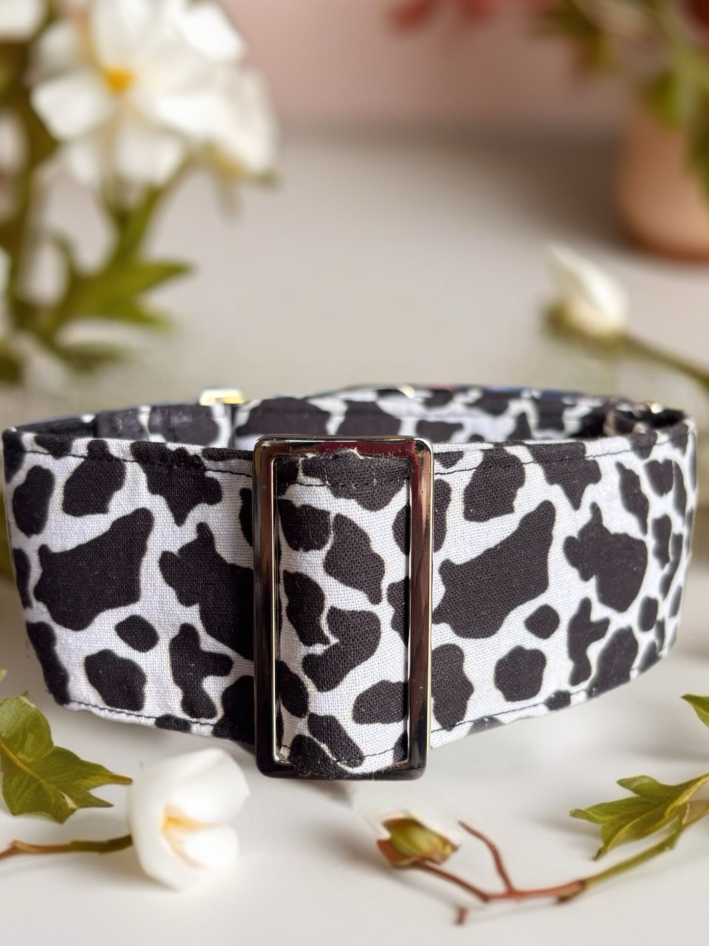 Cowprint Greyhound Martingale collar cotton covered 50mm width soft