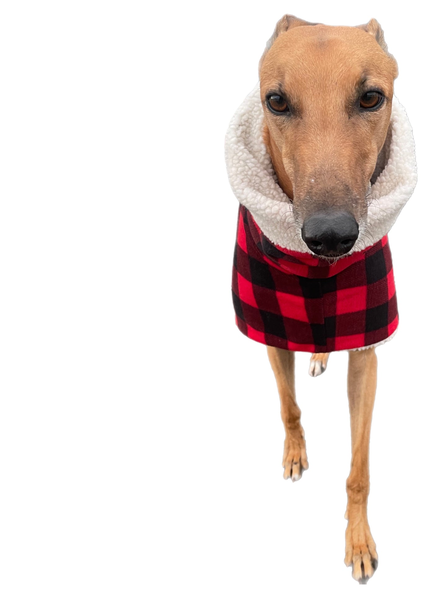 The red Lumberjack Greyhound coat in deluxe style rug red black tartan check polar fleece washable extra wide neck
