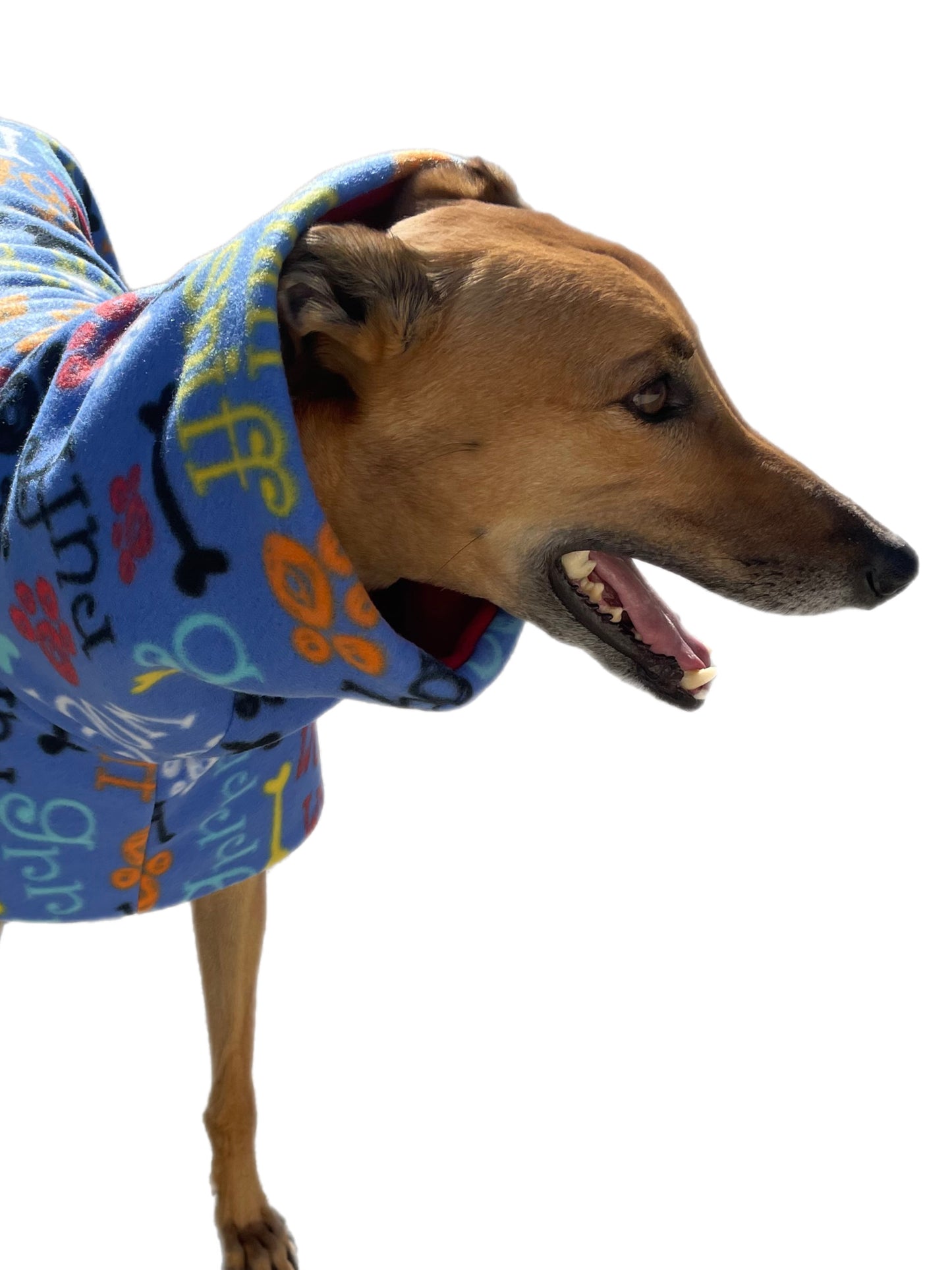 A splash of fun greyhound coat rug thick polar fleece washable extra wide neck hoodie