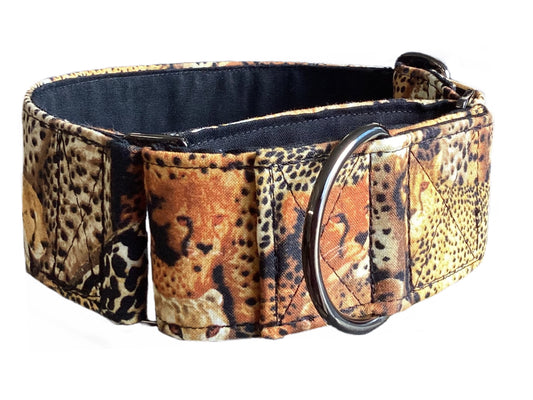 Africana Greyhound Martingale collar cotton covered 50mm width