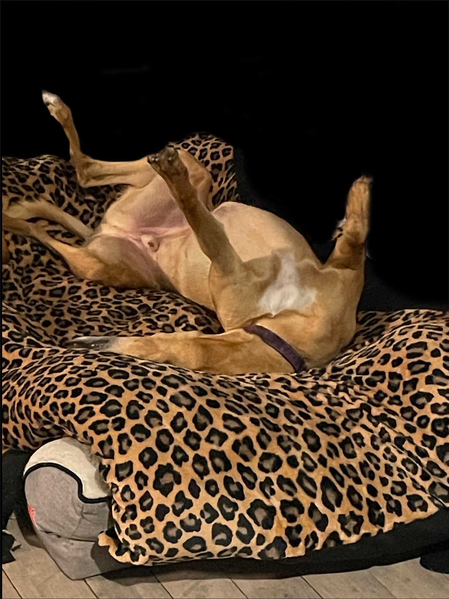 Jumbo super soft fleece cover DIY dog bed luxury washable