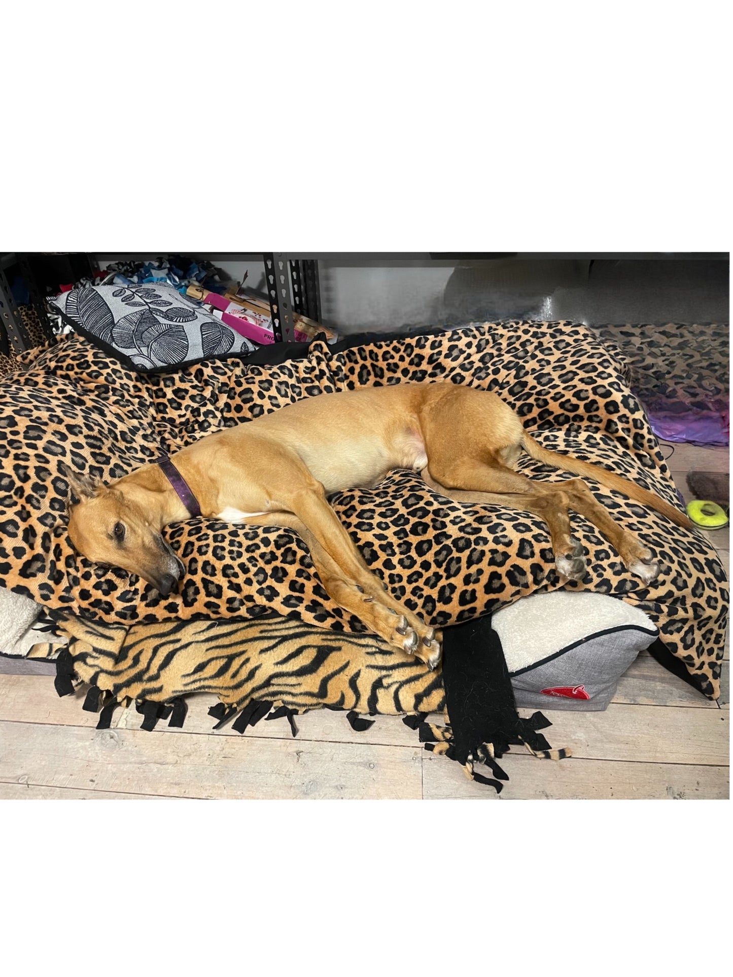 Jumbo super soft fleece cover DIY dog bed luxury washable