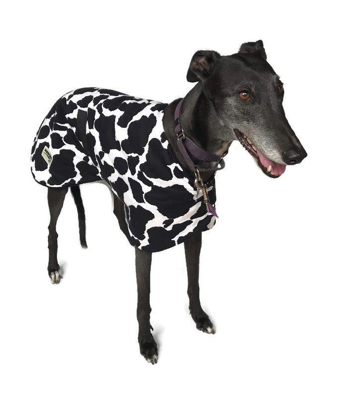 Autumn Greyhound ‘black cowprint’ coat in cotton drill & polar fleece washable