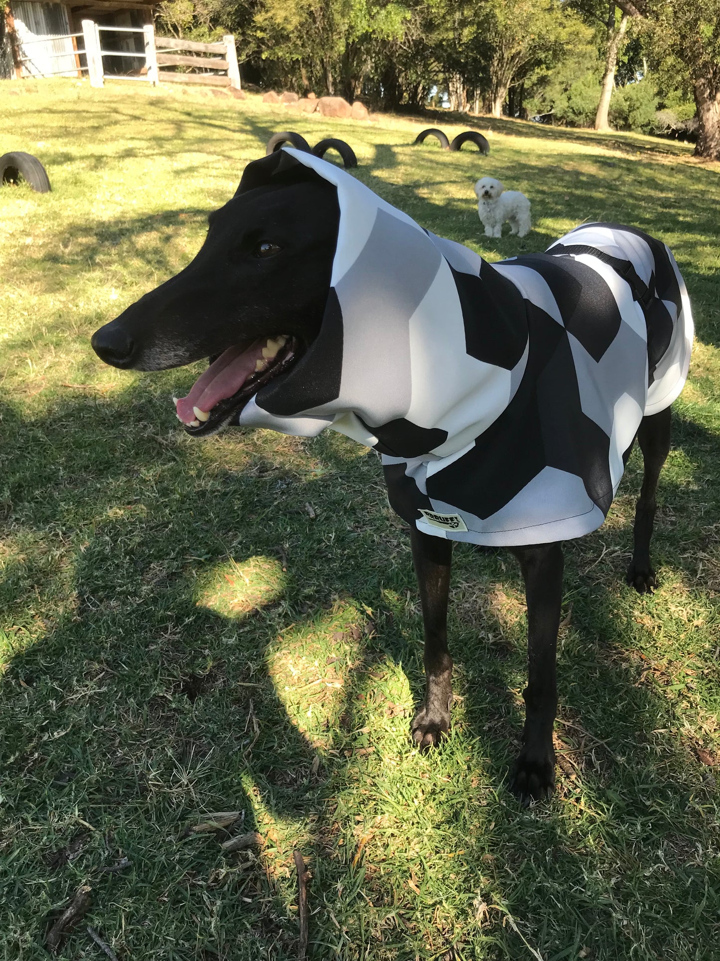 Clearance! Greyhound coat with huge collar, monochrome black, grey & white, lightweight, windbeater, washable