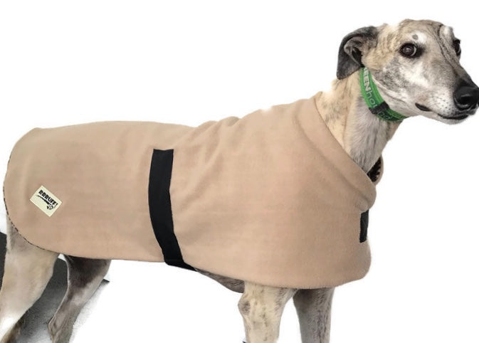 Dog coat with buckles online