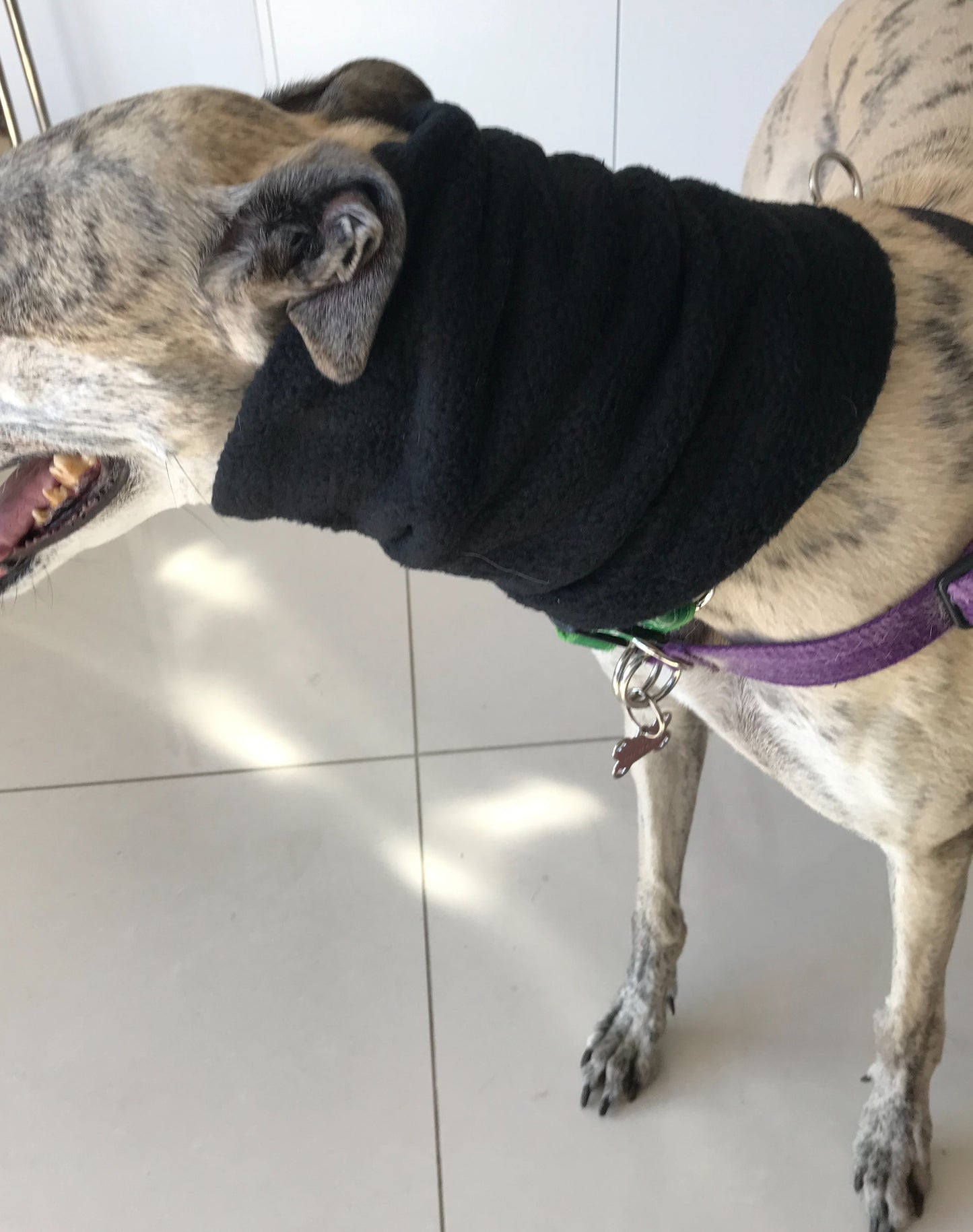 Greyhound fleece extra wide collar scarf snood neck warmer