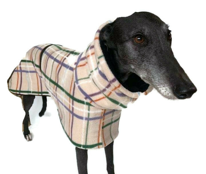 Greyhound hoodie 2024 for dog