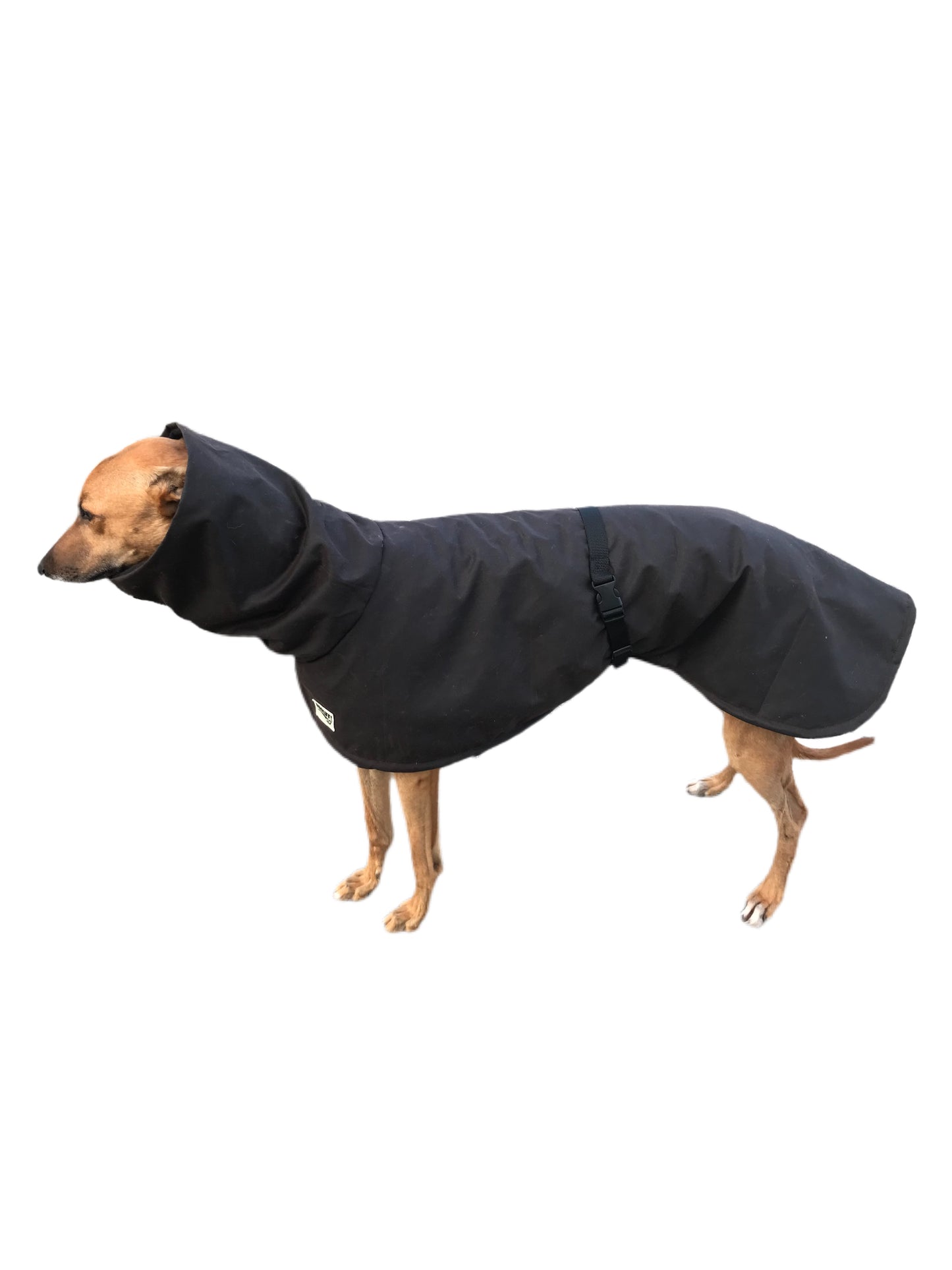 Oilskin ‘Greyzabone, Greyhound coat deluxe style, soft, water repellent, rainwear