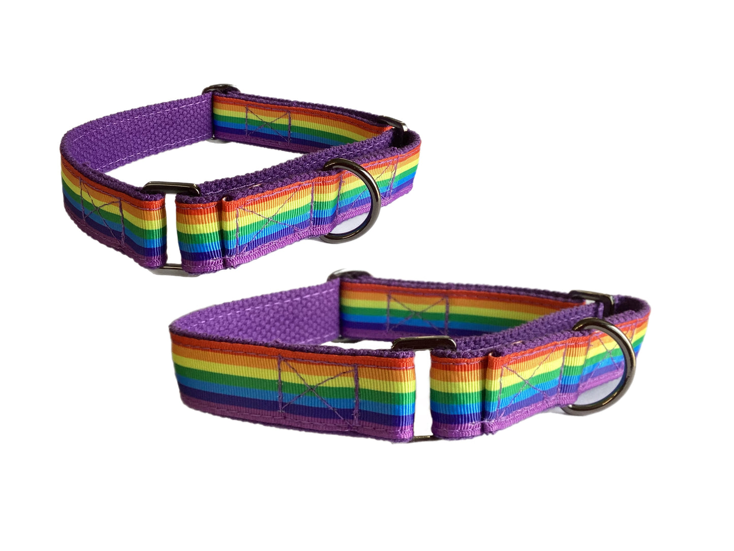 Rainbow colors 🏳️🌈 greyhound Martingale collar 25mm house collar