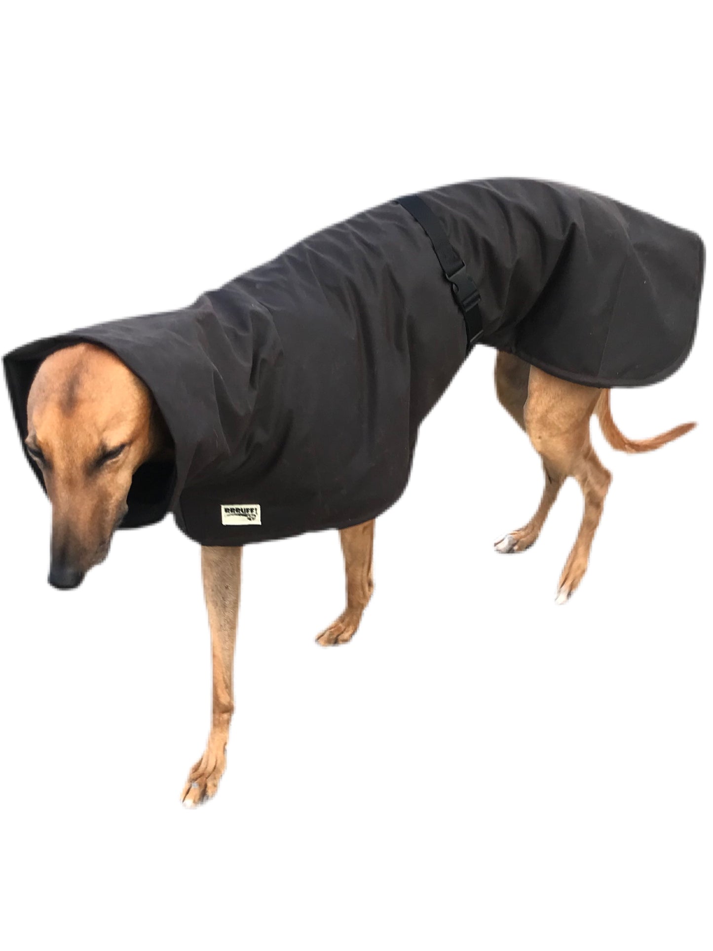 Oilskin ‘Greyzabone, Greyhound coat deluxe style, soft, water repellent, rainwear