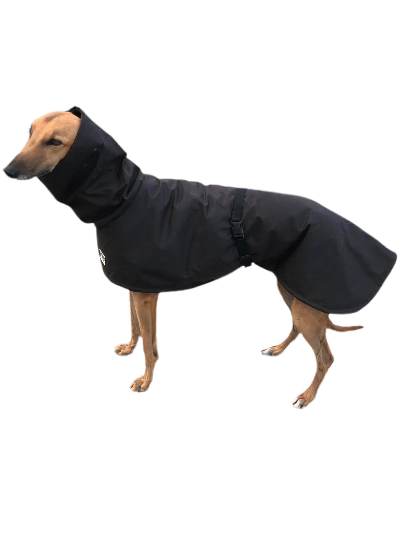 Oilskin ‘Greyzabone, Greyhound coat deluxe style, soft, water repellent, rainwear